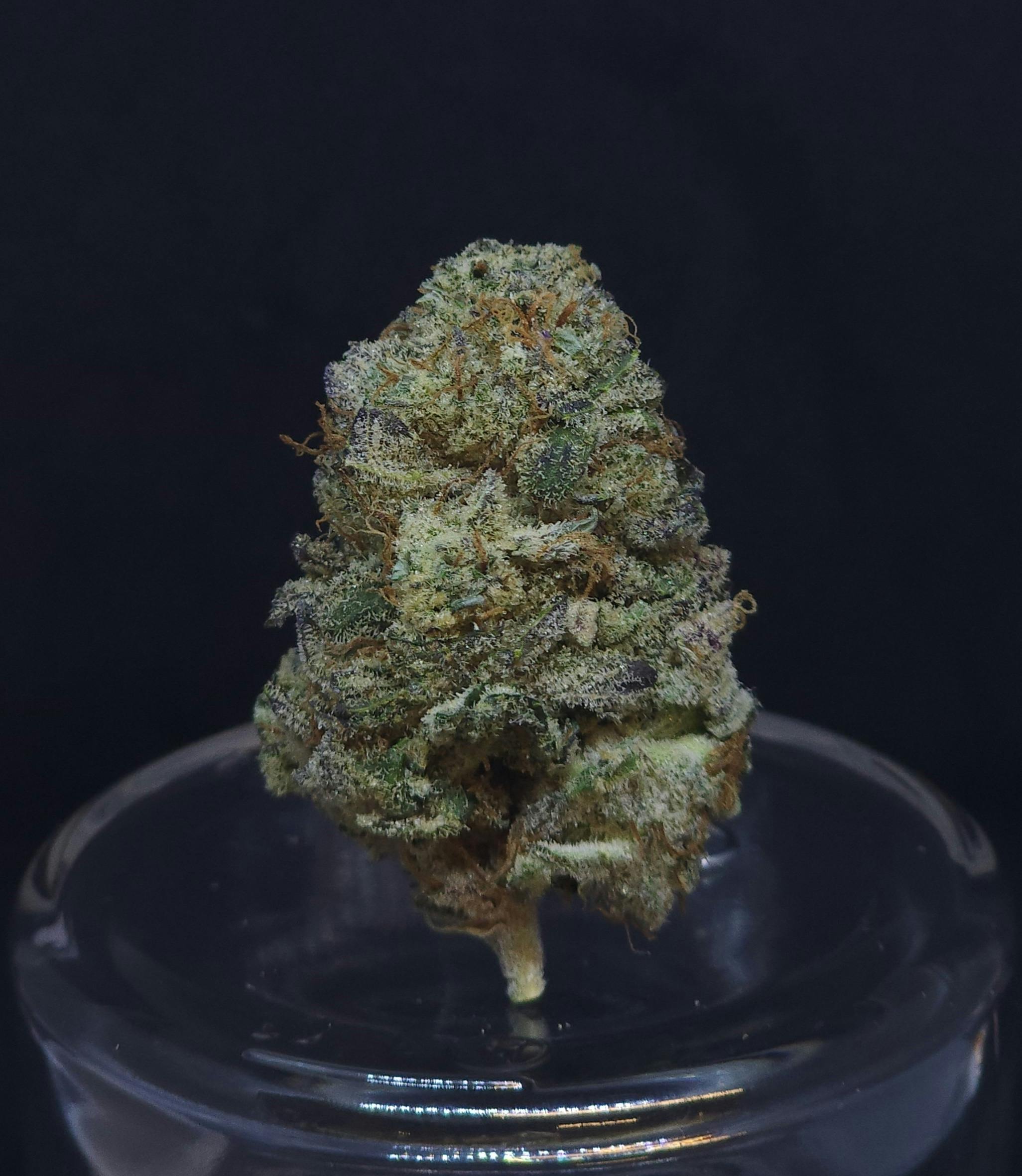 Grease Monkey .5g Pre-Roll - image 1