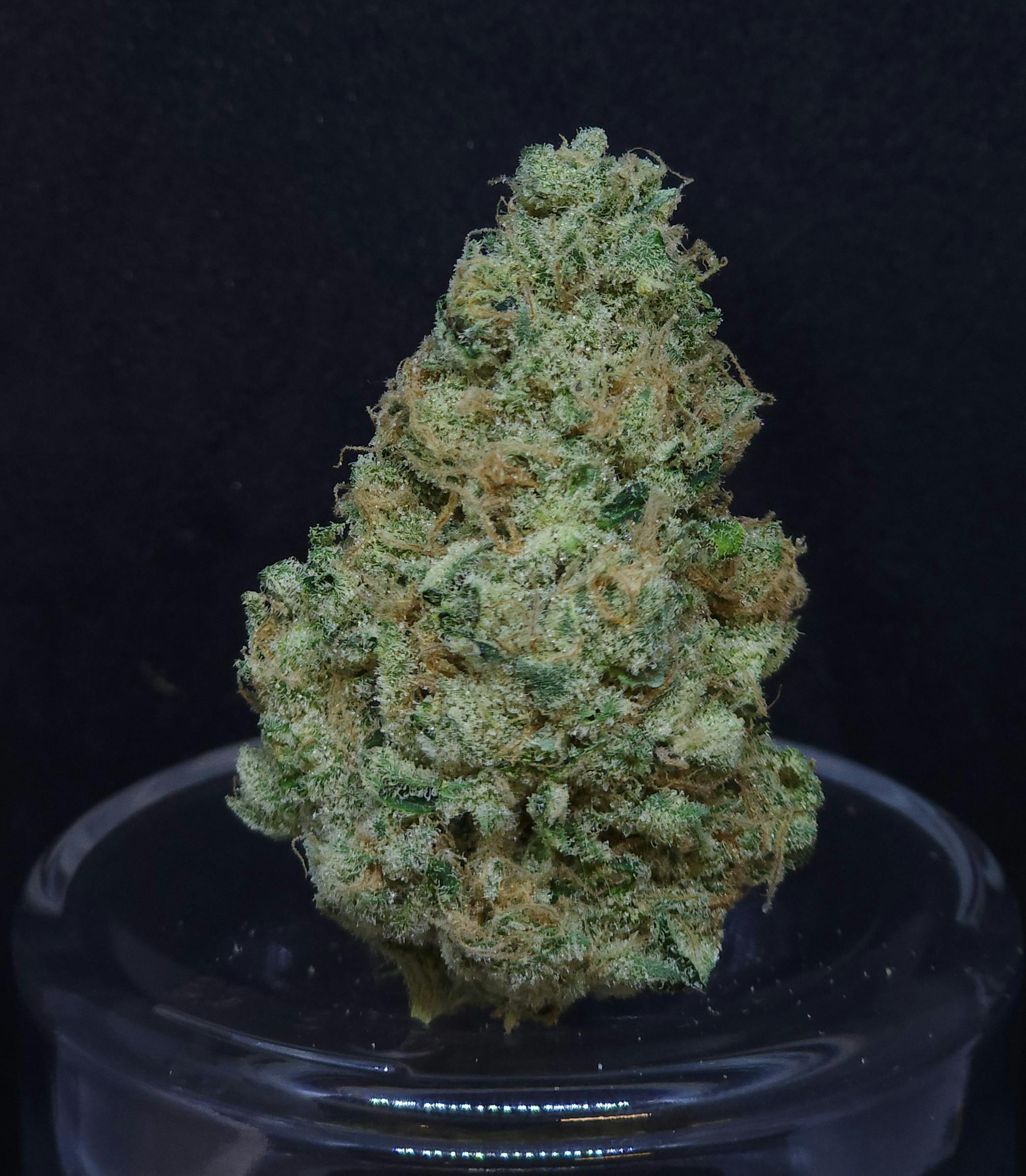 PFD #10 1g Pre-Roll - image 1