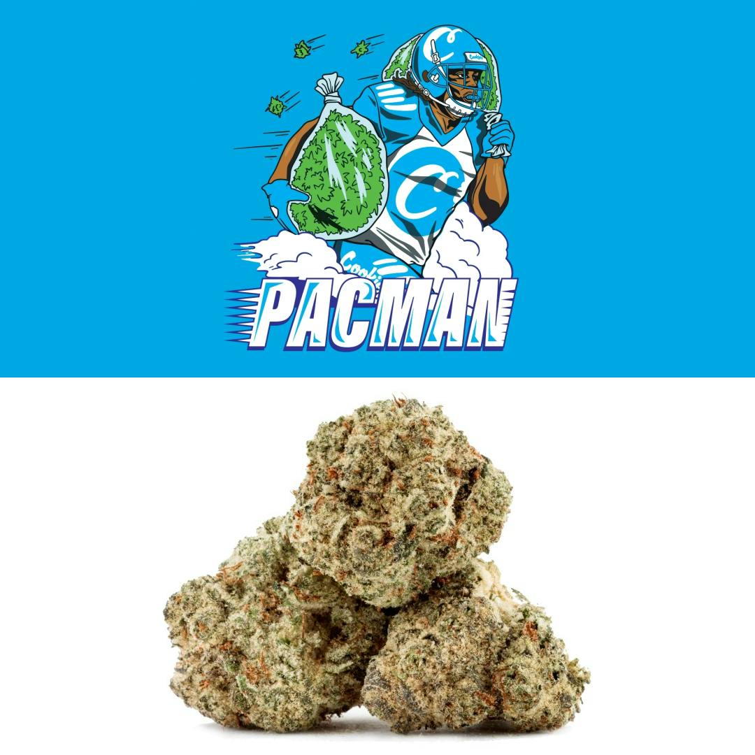 Pacman - image 1