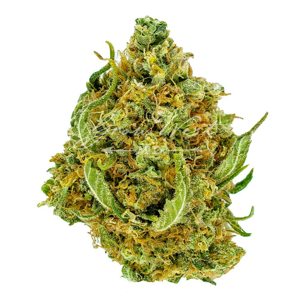 Berry Diesel | Silver | Untrimmed | 3.5g - image 1