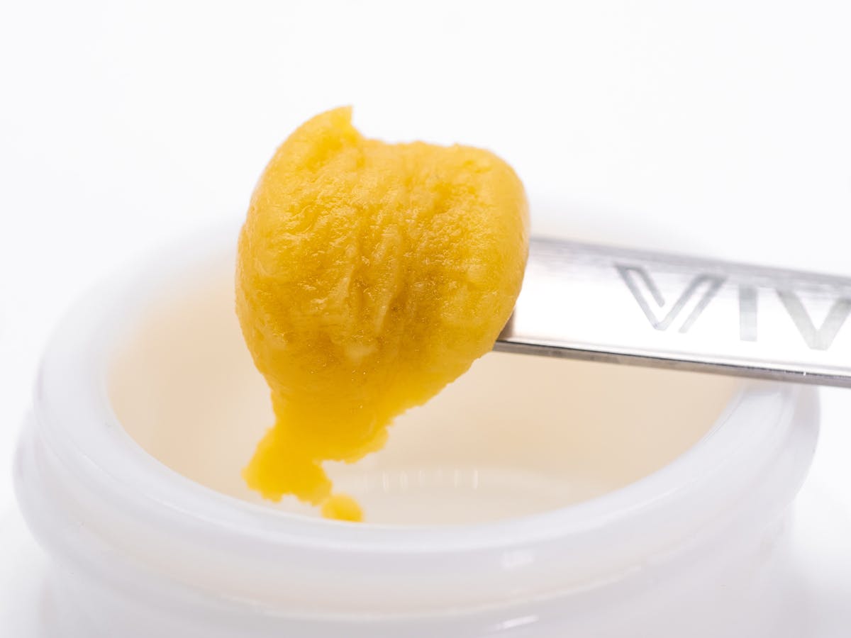Vivid - Grape Juice Live Badder - Indica - image 1