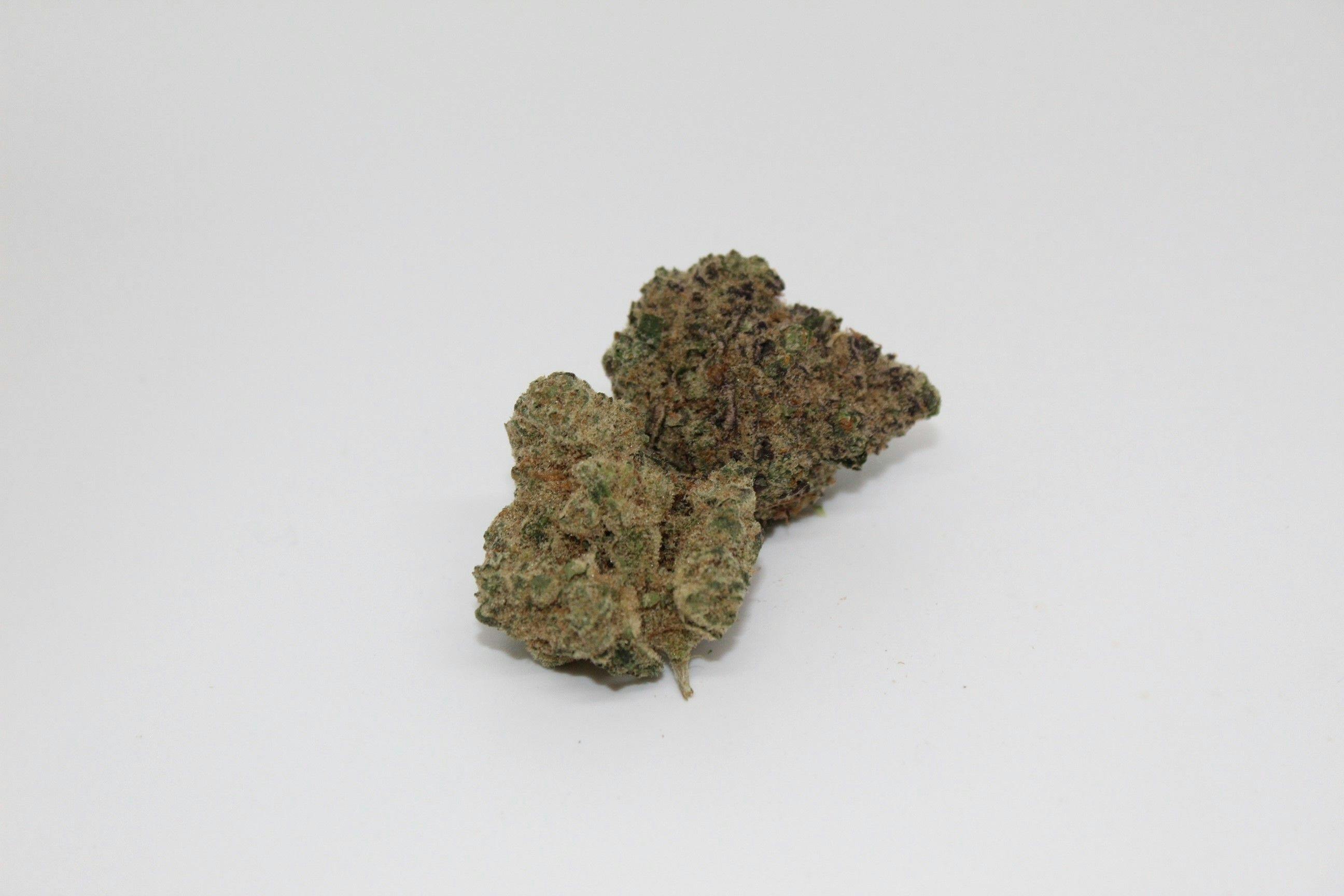 River King Flower - image 1