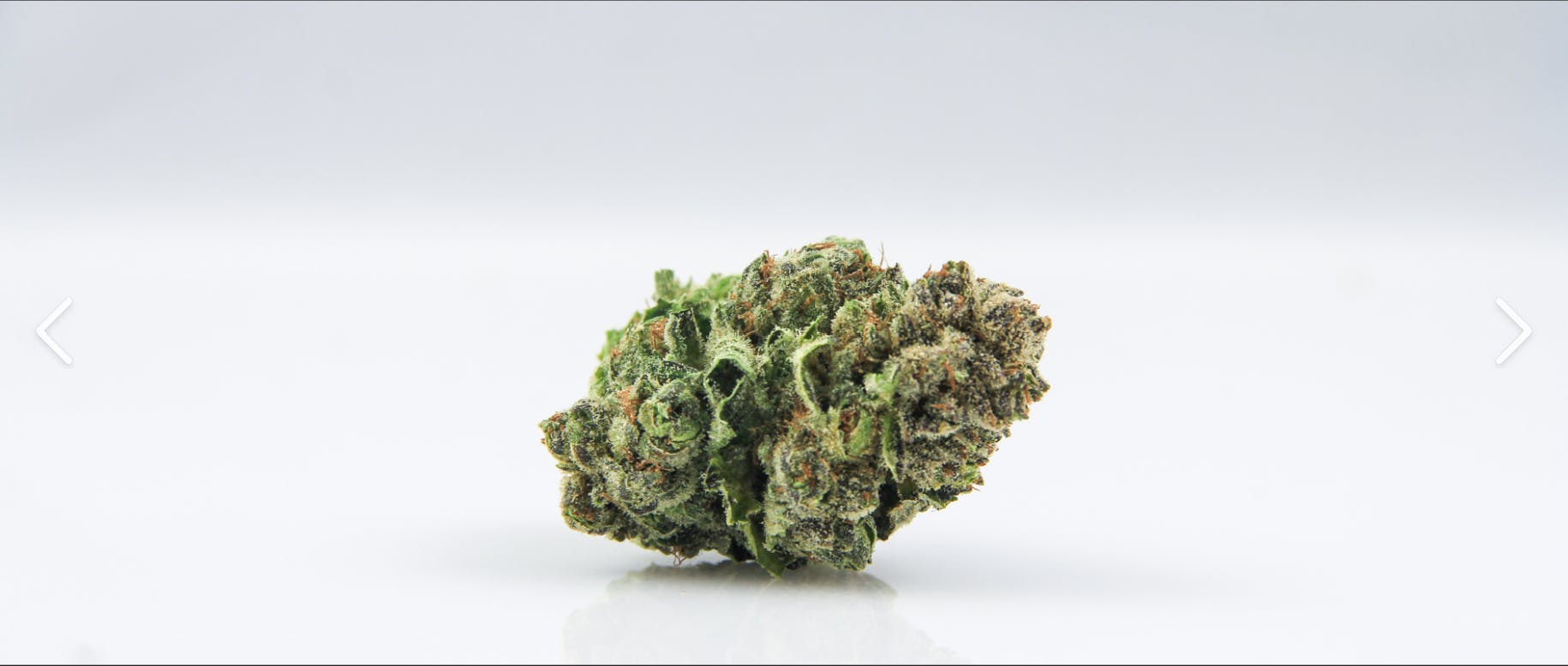 Blueberry Headband Flower - image 1