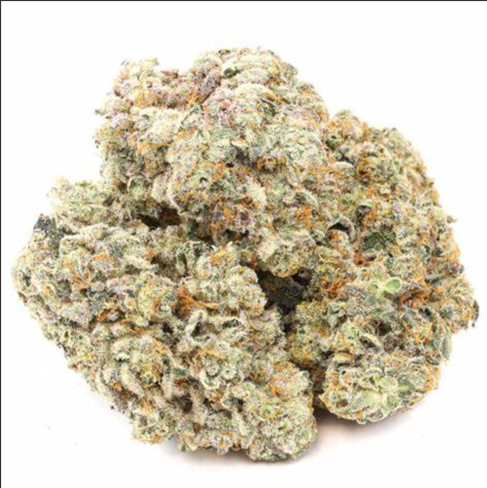 Bulldog Biscotti Flower - image 1