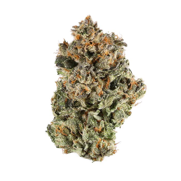 Berkel Popcorn Flower - image 1
