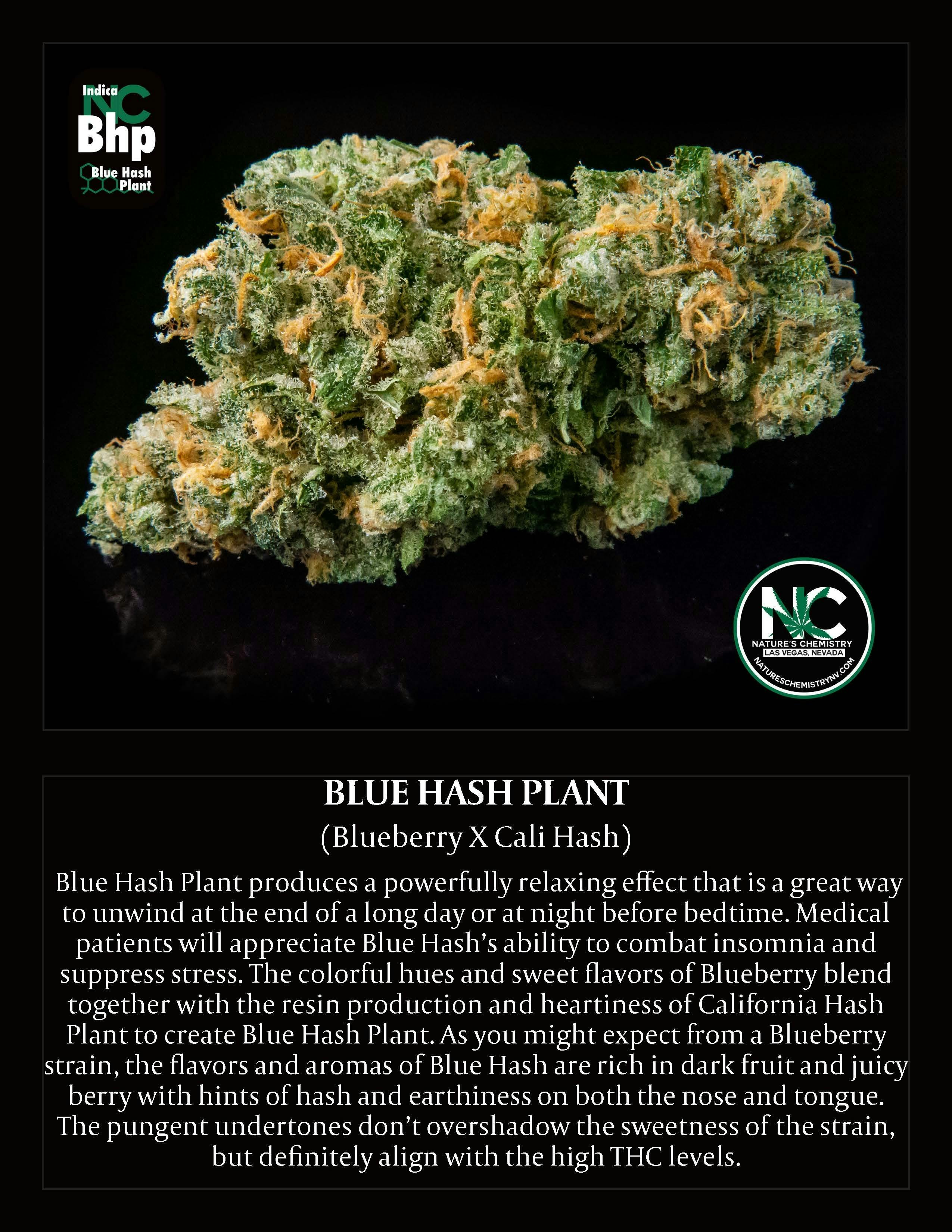 Blue Hash Plant - image 1