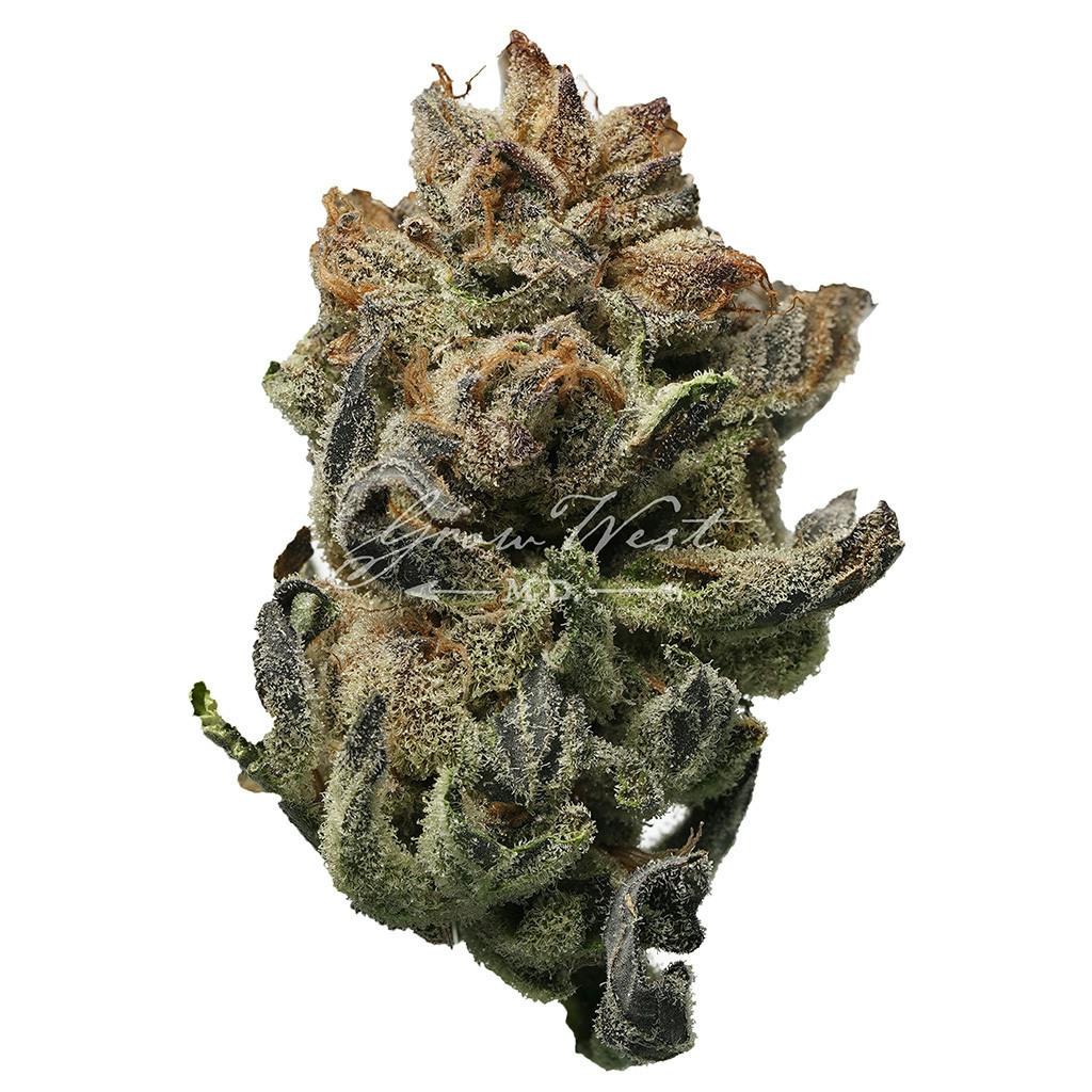 Chem 4 OG x The White | Silver | Untrimmed | 3.5g - image 1