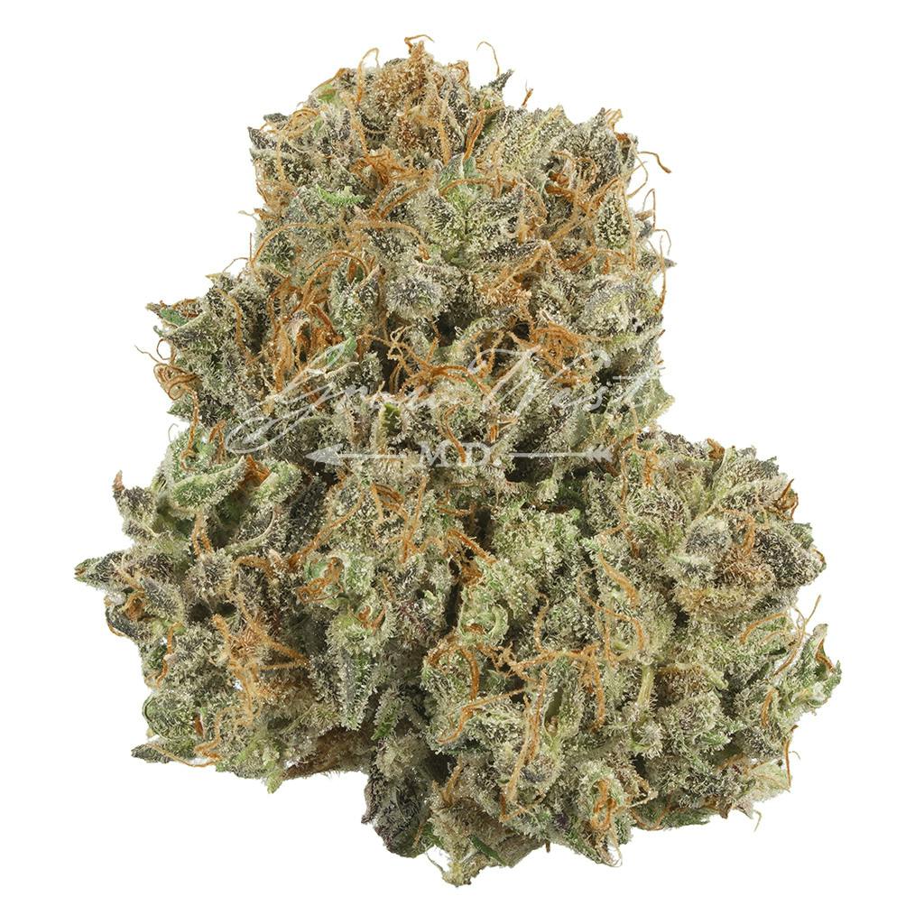 Chocolate Kush | Premium | Hand-Trimmed | 3.5g - image 1