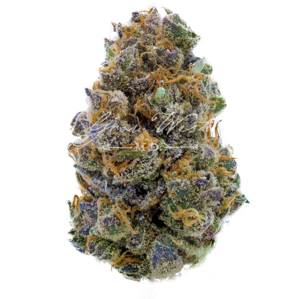 Florence Nightingale | Gold | Trimmed | 3.5g - image 1