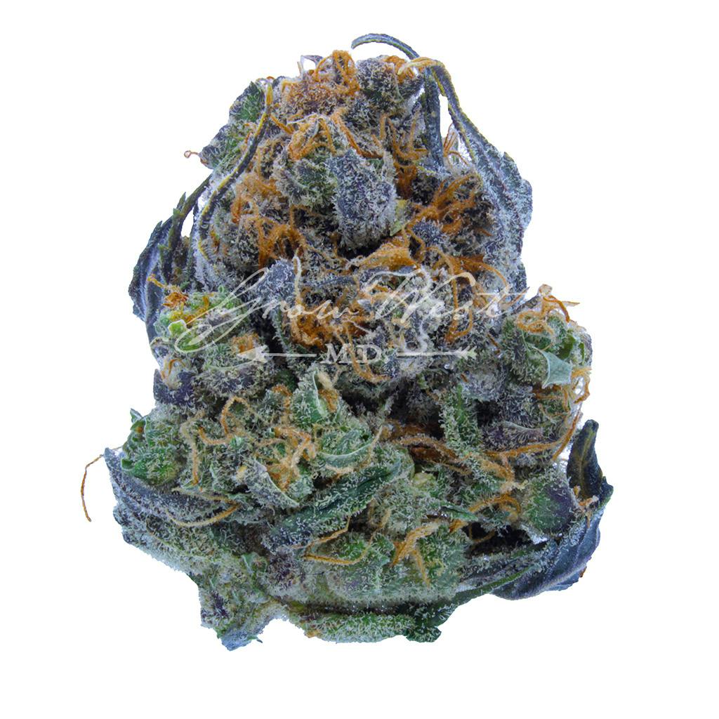 Florence Nightingale | Silver | Untrimmed | 3.5g - image 1
