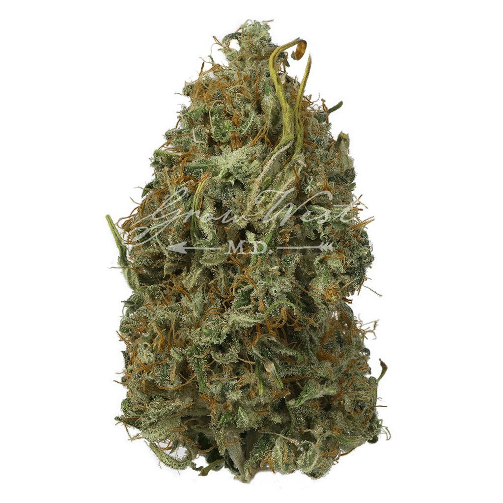 GG #4 | Silver | Untrimmed | 3.5g - image 1