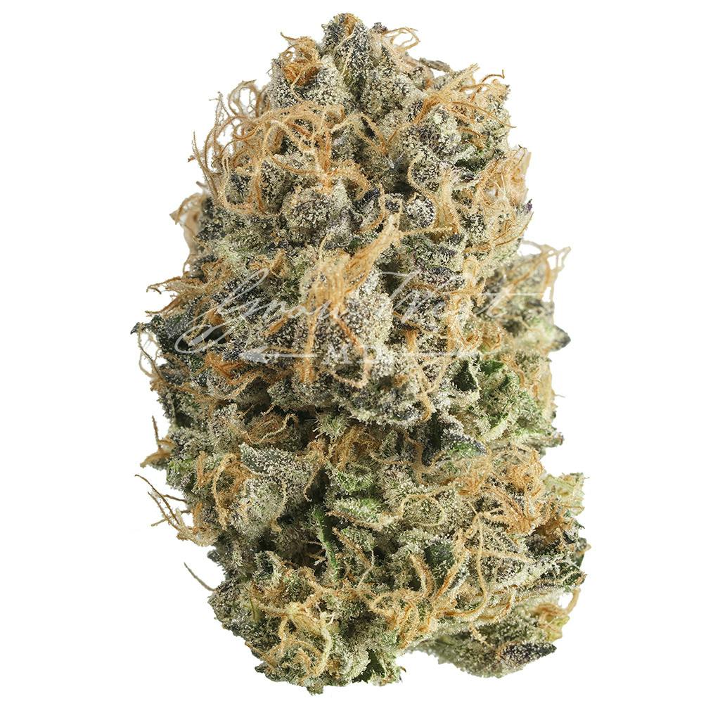 Hindu Mints | Premium | Hand-Trimmed | 3.5g - image 1