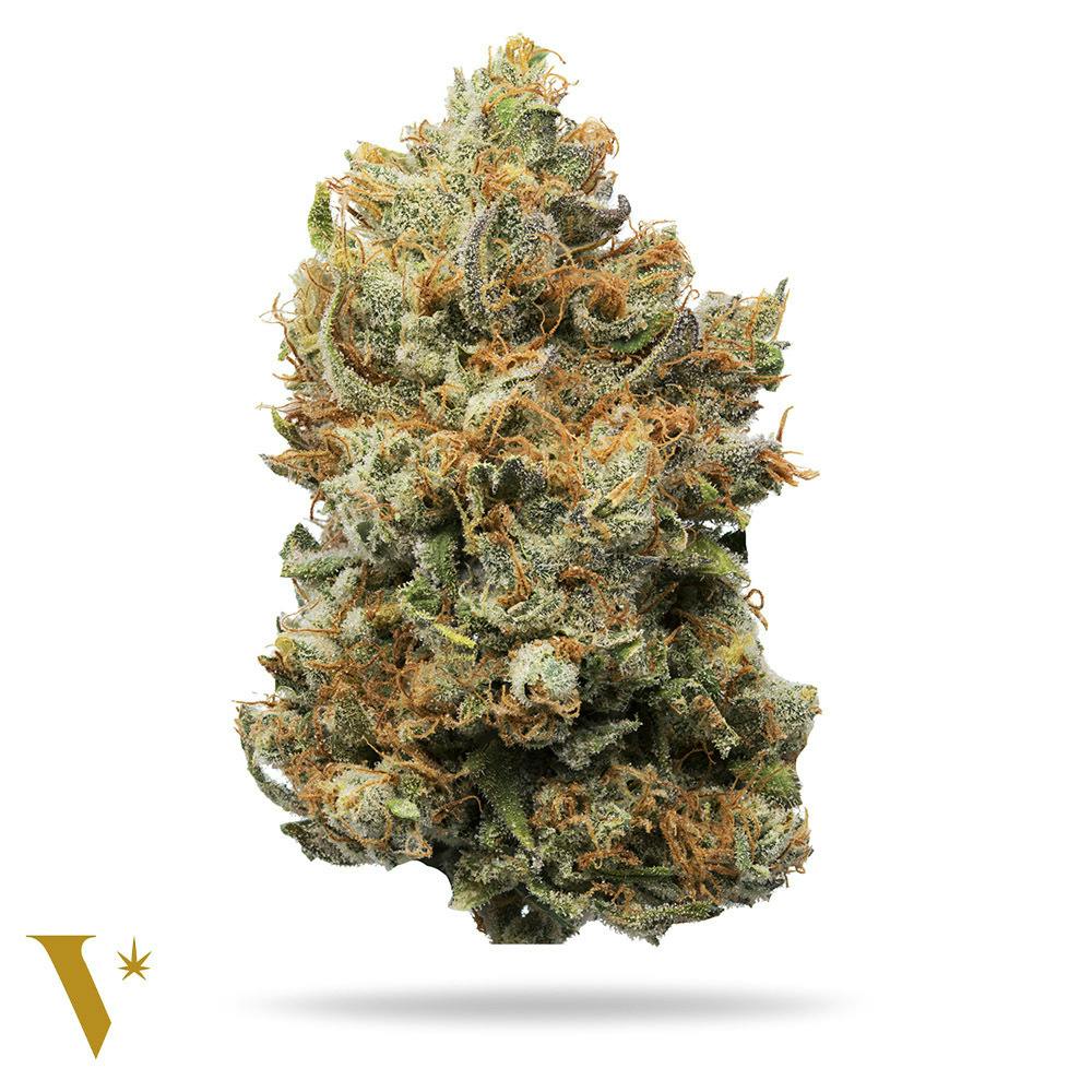 Peking Duck #6 [14g] - image 1
