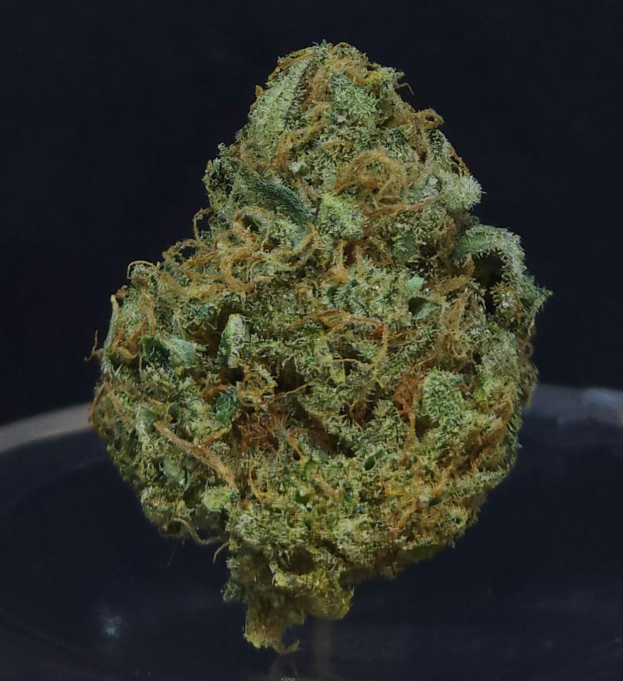 Bam Strikes Back .5g - 2 Pack - image 1
