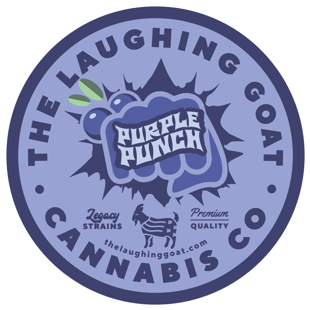 PURPLE PUNCH - image 2