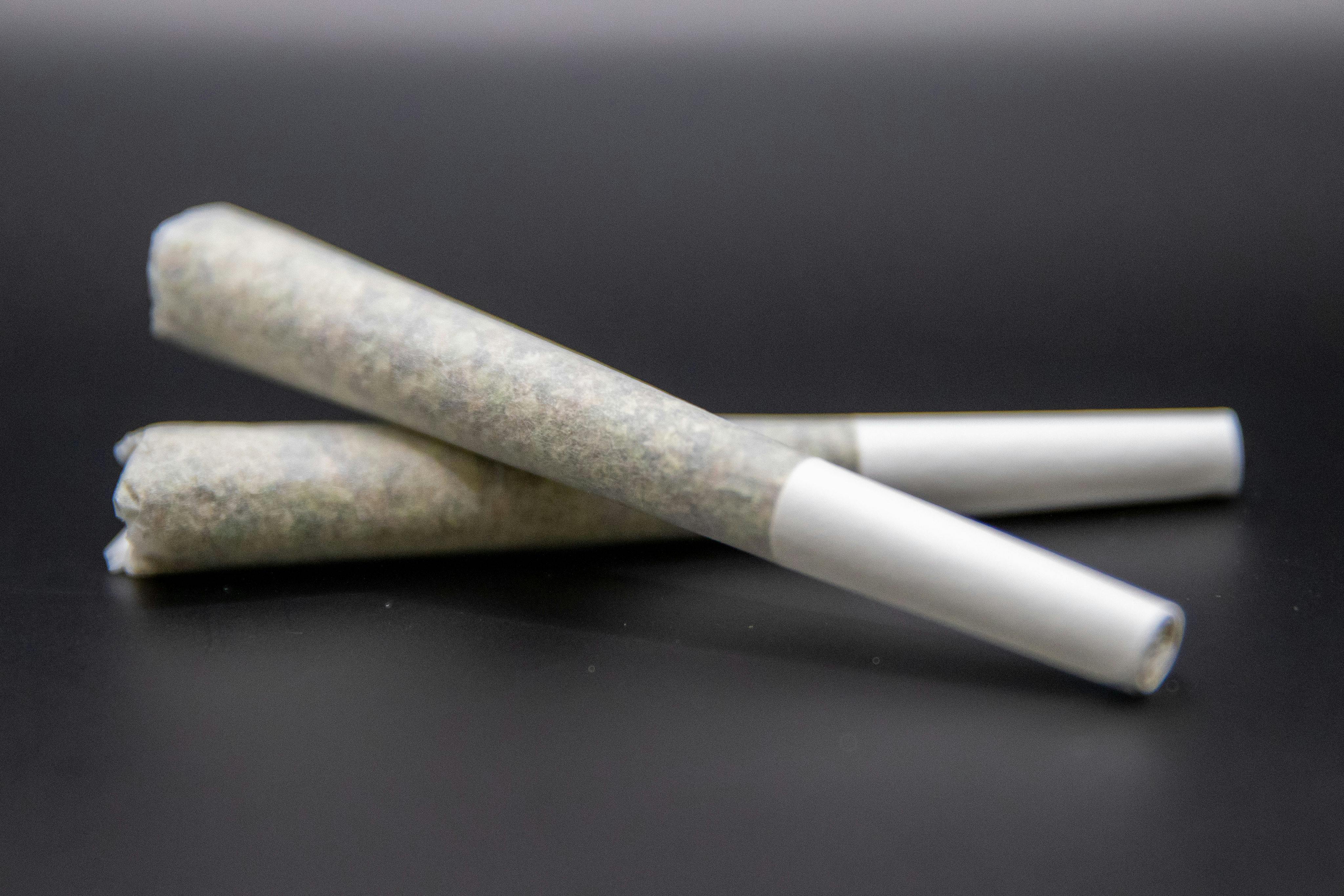 Mockingbird Pre-Rolls: Jadelato 2-pack, .5g ea. - image 2
