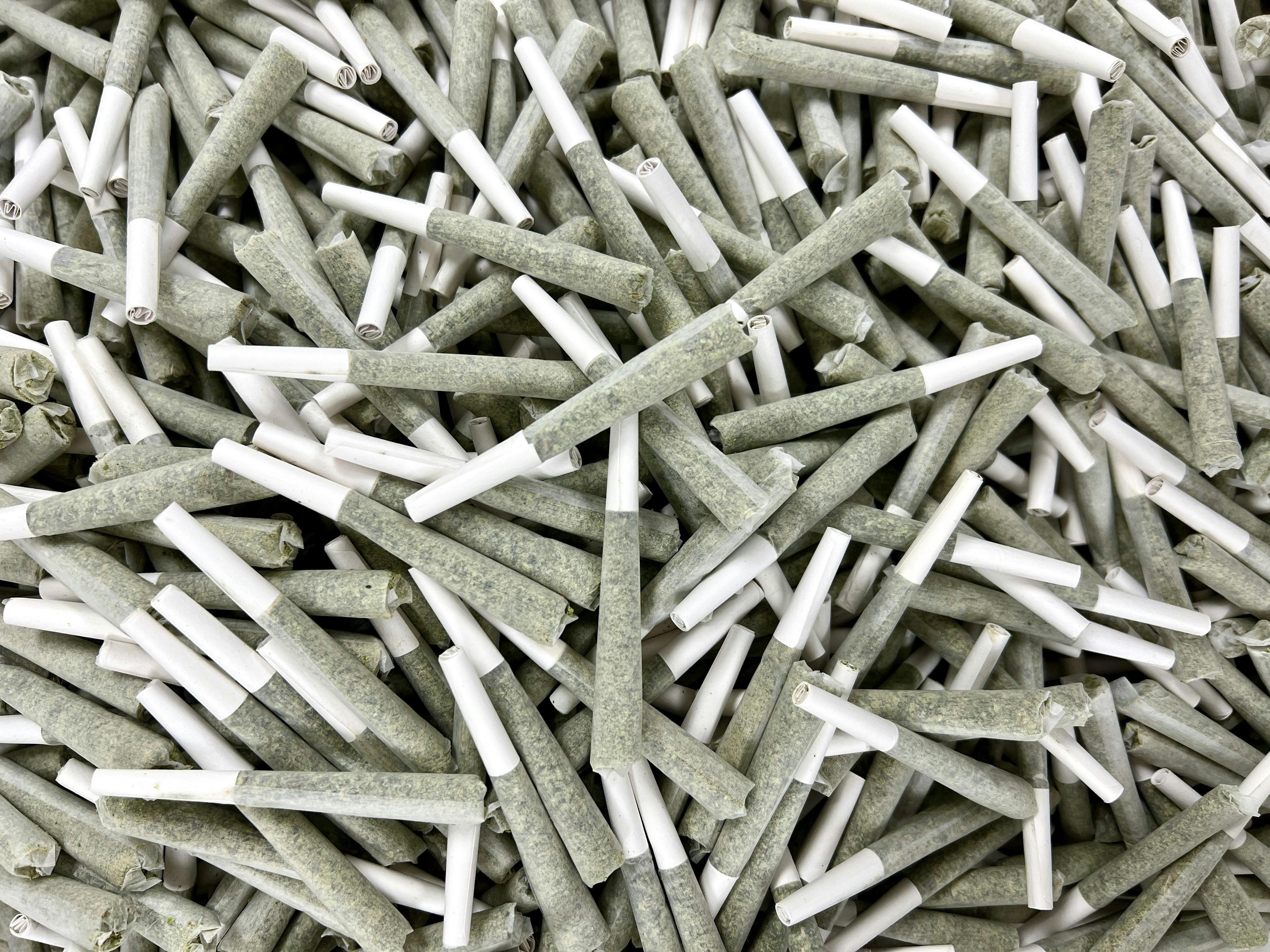 Mockingbird Pre-Rolls: Jadelato 2-pack, .5g ea. - image 1