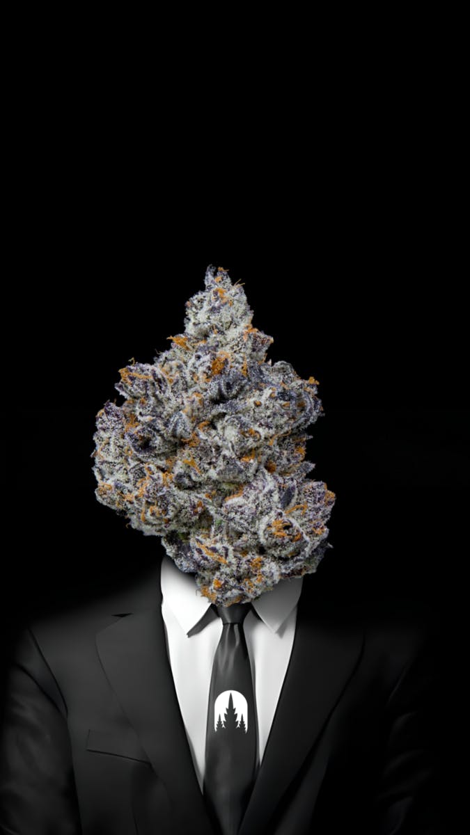 Mr. Wick (Indica) - Smalls Indoor Flower - 14g - image 1