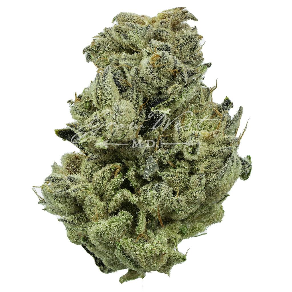Purple Koala | Premium | Hand-Trimmed | 3.5g - image 1