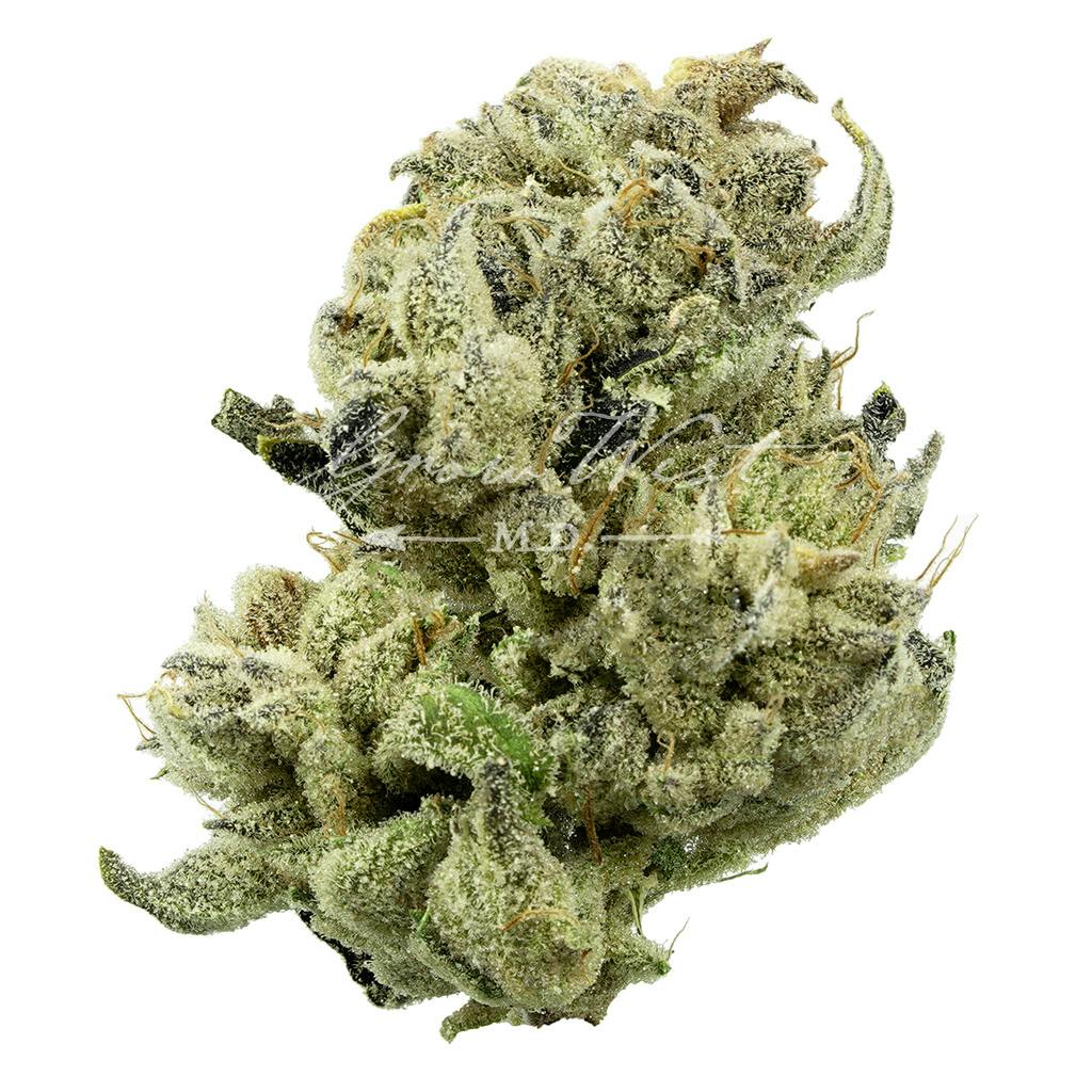 Purple Koala | Silver | Untrimmed | 3.5g - image 1