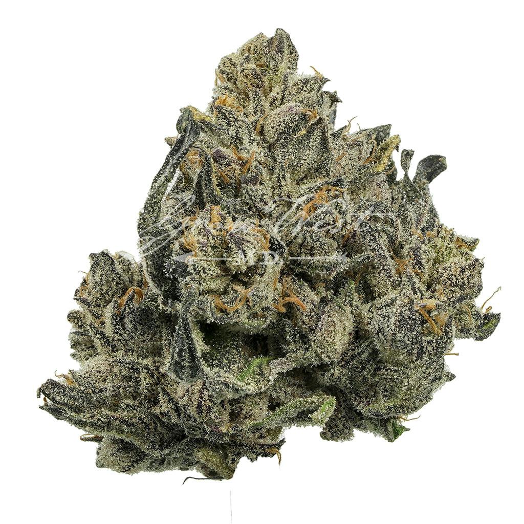 Majestik 12 | Silver | Untrimmed | 3.5g - image 1
