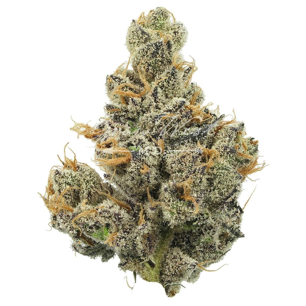 Sour Apple Crumble | Gold | Trimmed | 3.5g - image 1