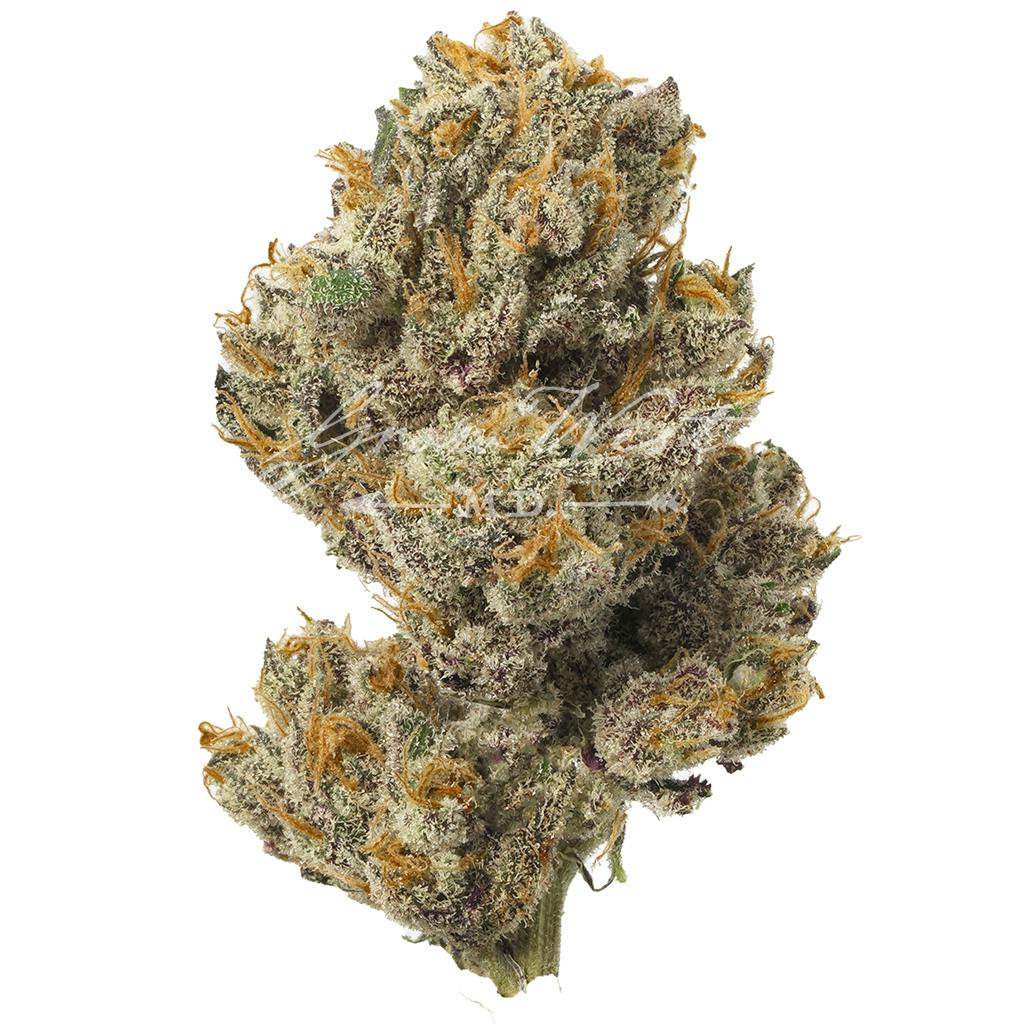Orange Runtz | Premium | Hand-Trimmed | 3.5g - image 2