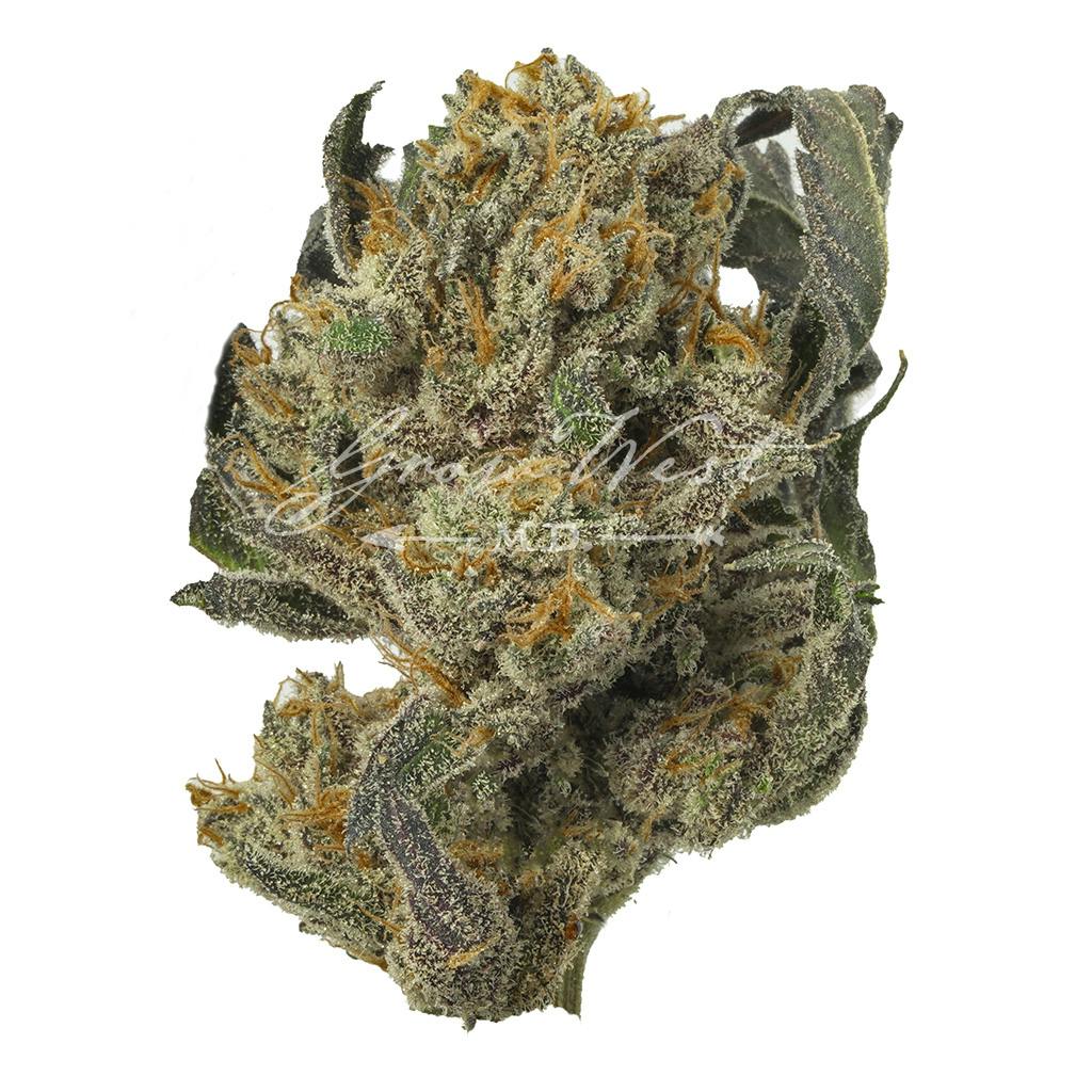 Orange Runtz | Silver | Untrimmed | 3.5g - image 1