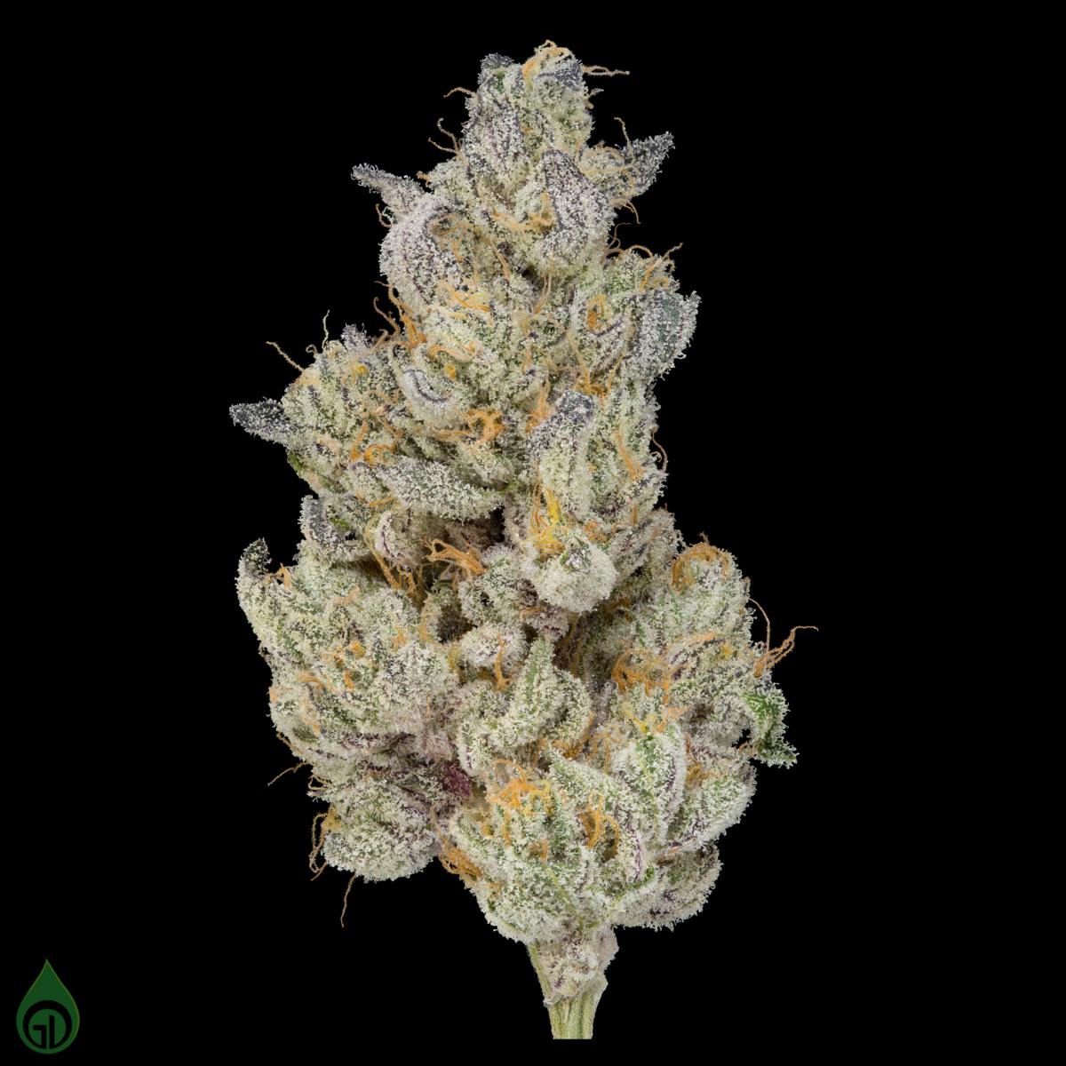 GDL Black Label Flower (14g) | A5 Wagyu - image 3