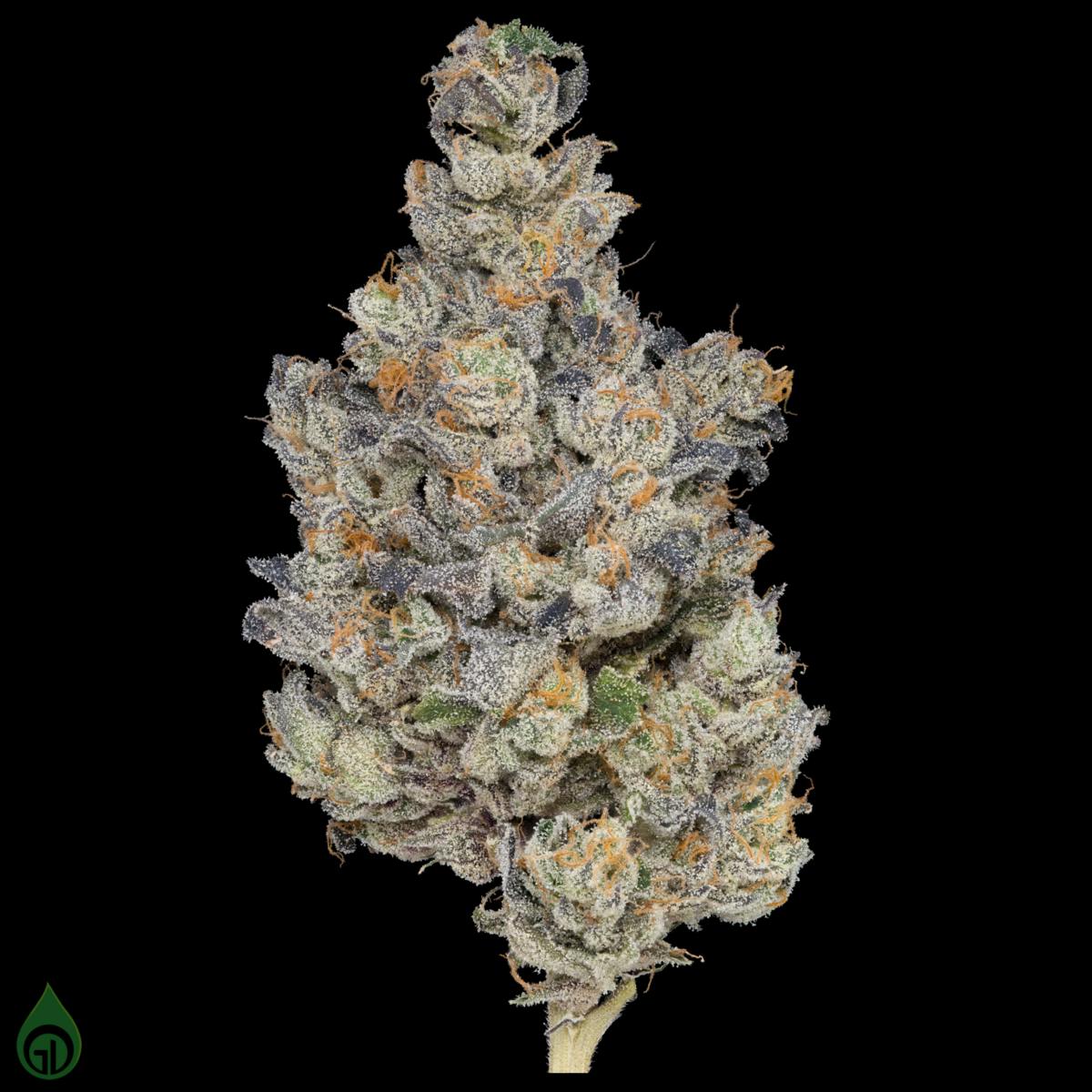 GDL Black Label Flower (14g) | ROYGBIV Red - image 1