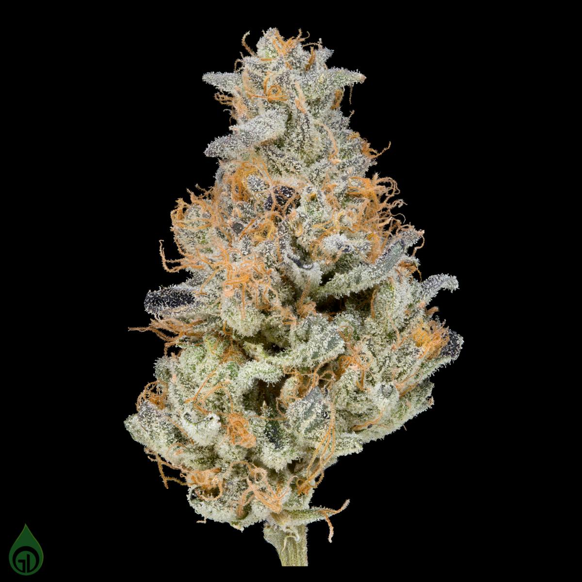 GDL Black Label Flower (7g) | ROYGBIV Orange - image 1