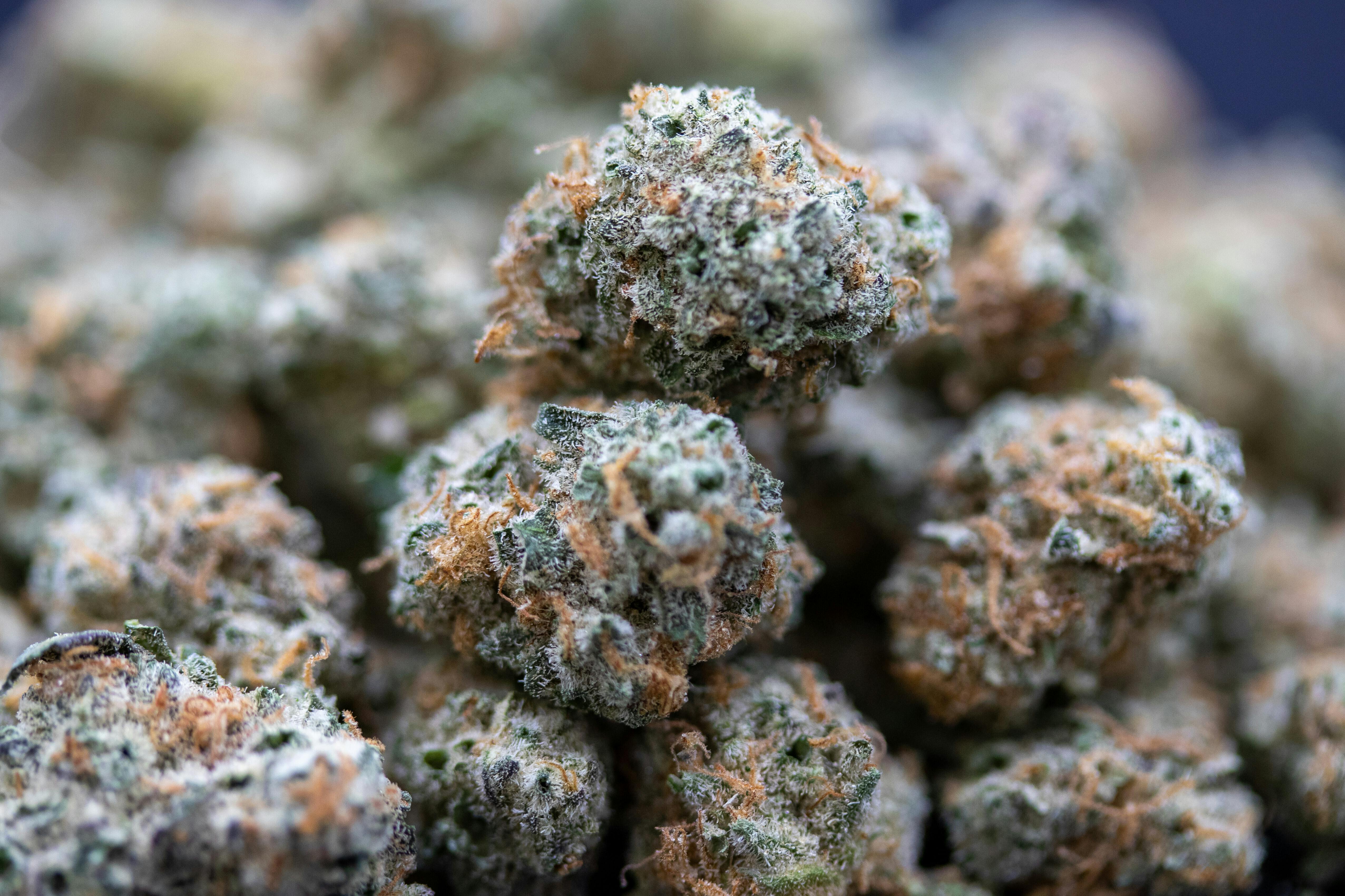 Mockingbird Premium Cannabis Smalls: Cookies n Cream 7g bag - image 1