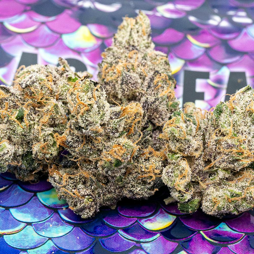 Black Cherry - image 1