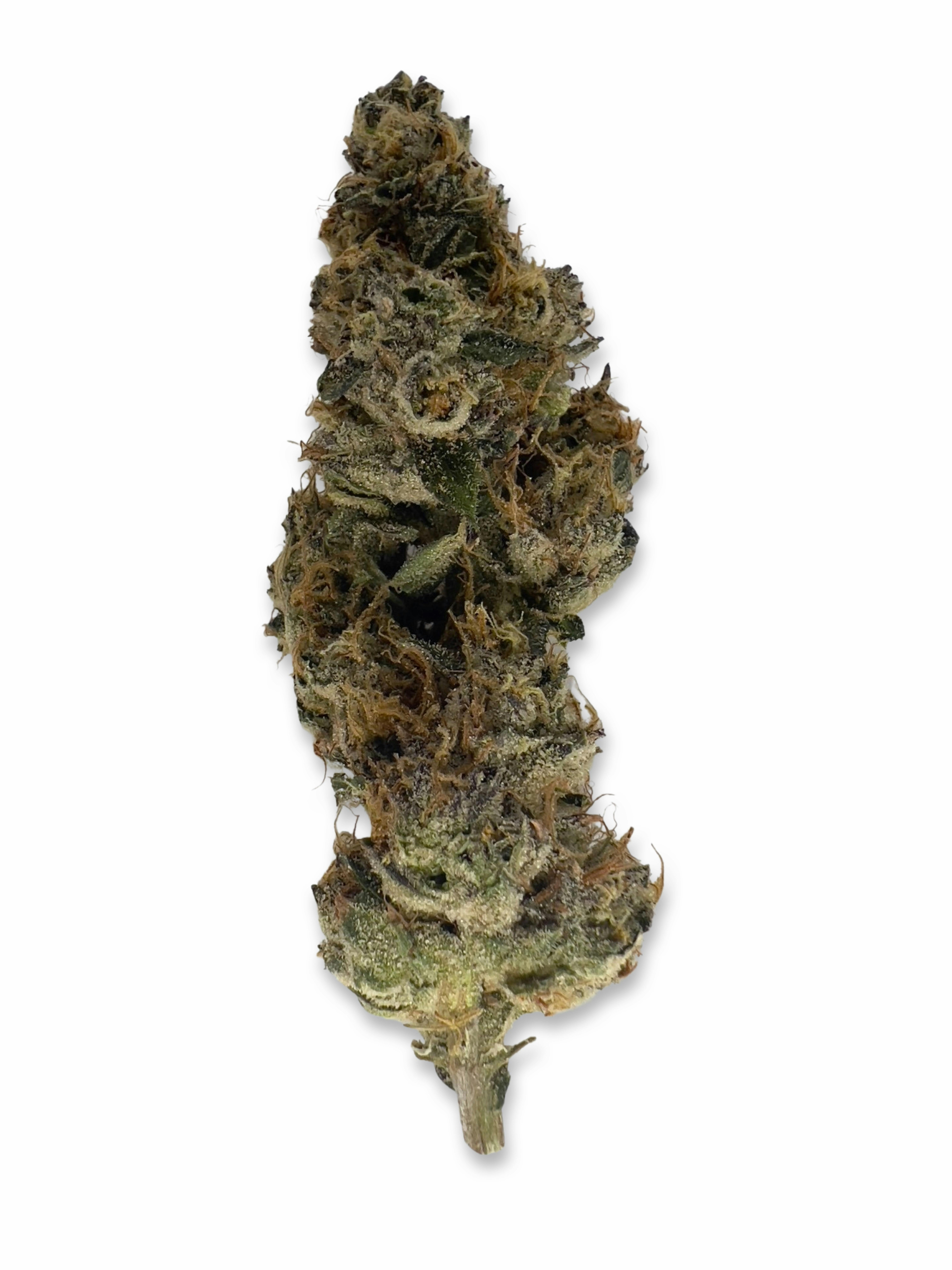 Grape GMO - Pine Tree Apothecary - image 1