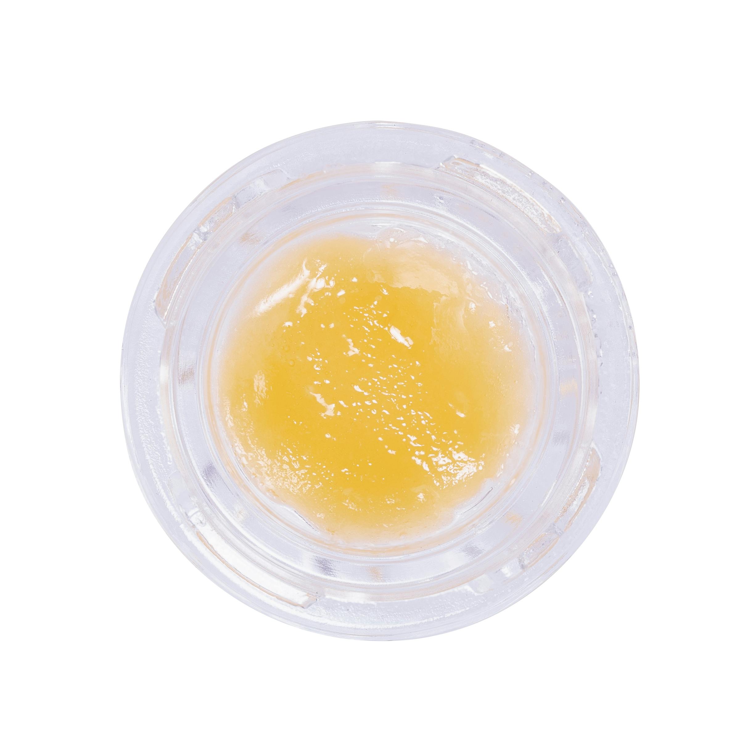 Honey Bee - image 1