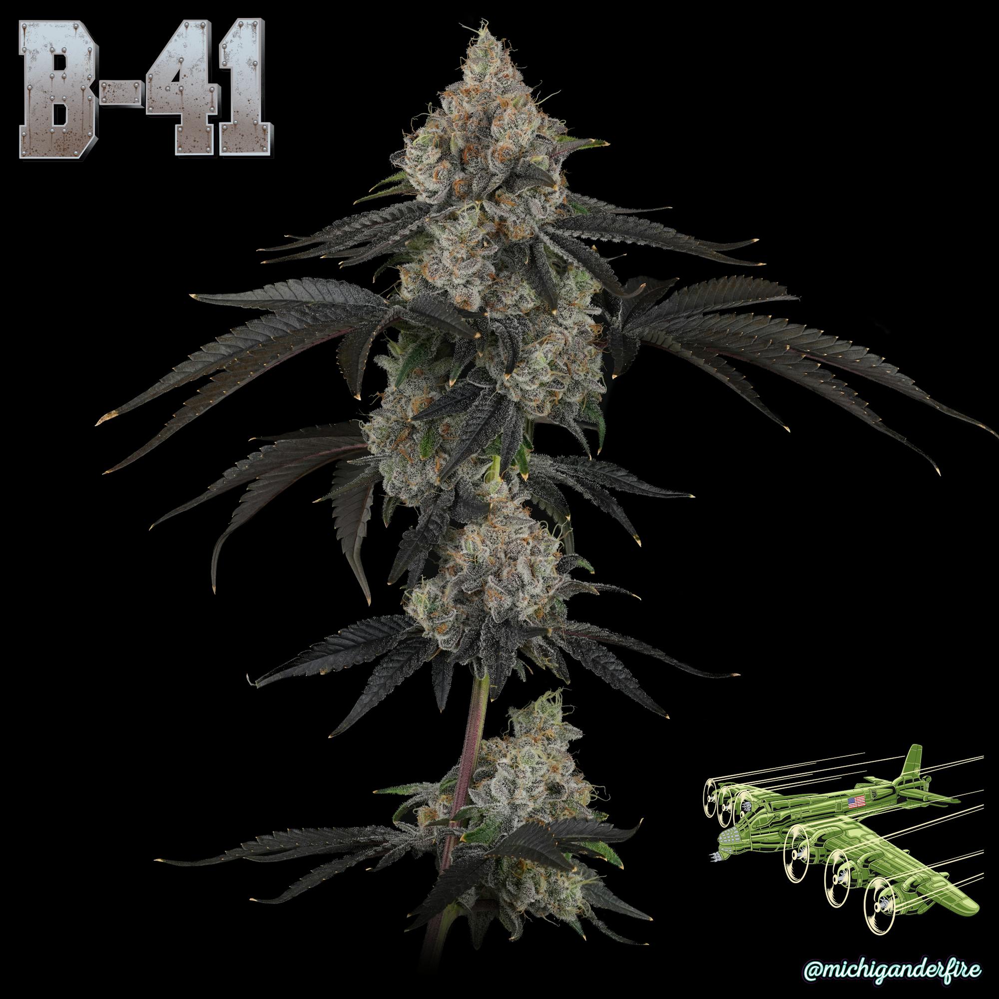 Michigander Fire - B41 - image 2
