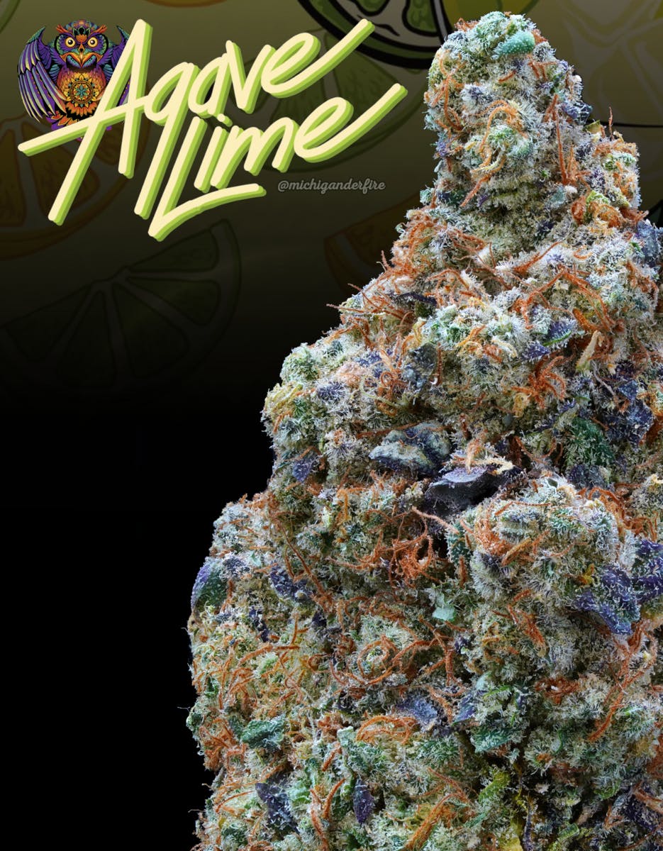 Michigander Fire - Agave Lime - image 3