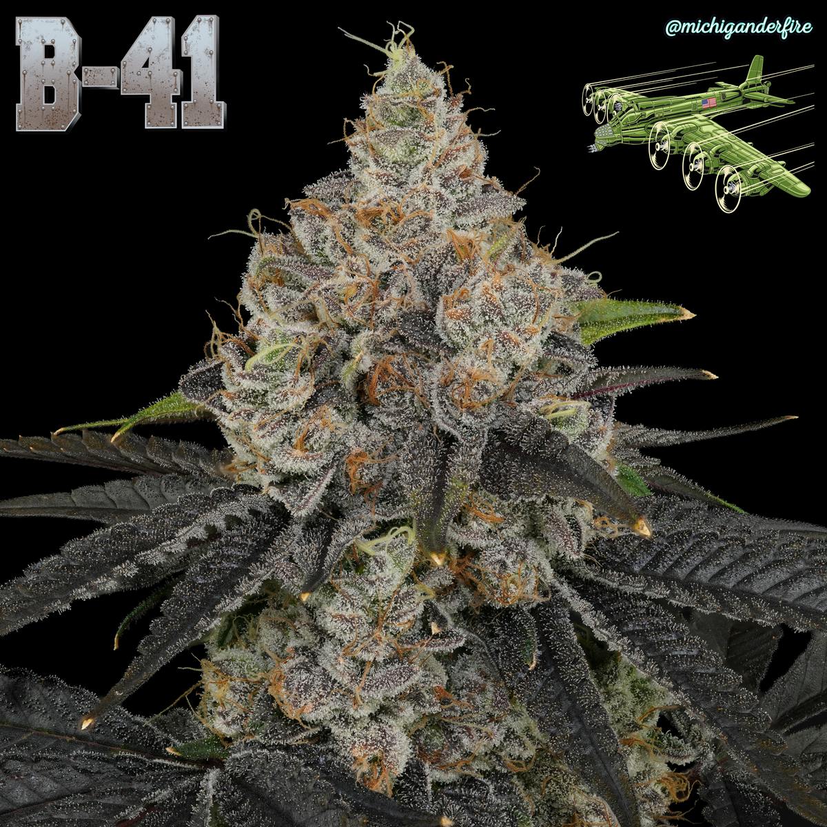 Michigander Fire - B41 - image 3