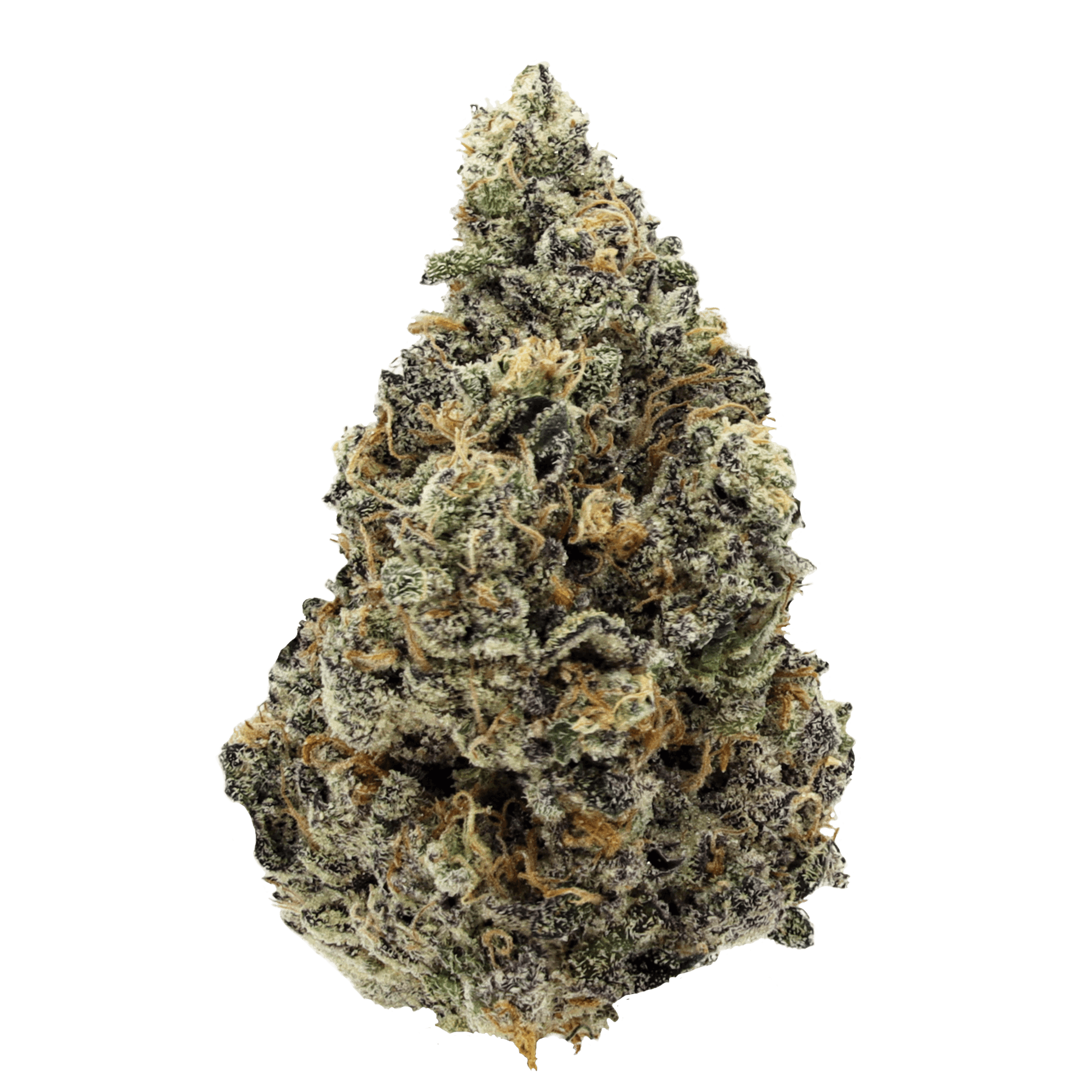 Purple Crush - 3.5g Flower - Manitoba - image 1