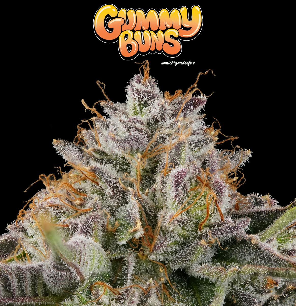 Michigander Fire - Gummy Buns - image 3