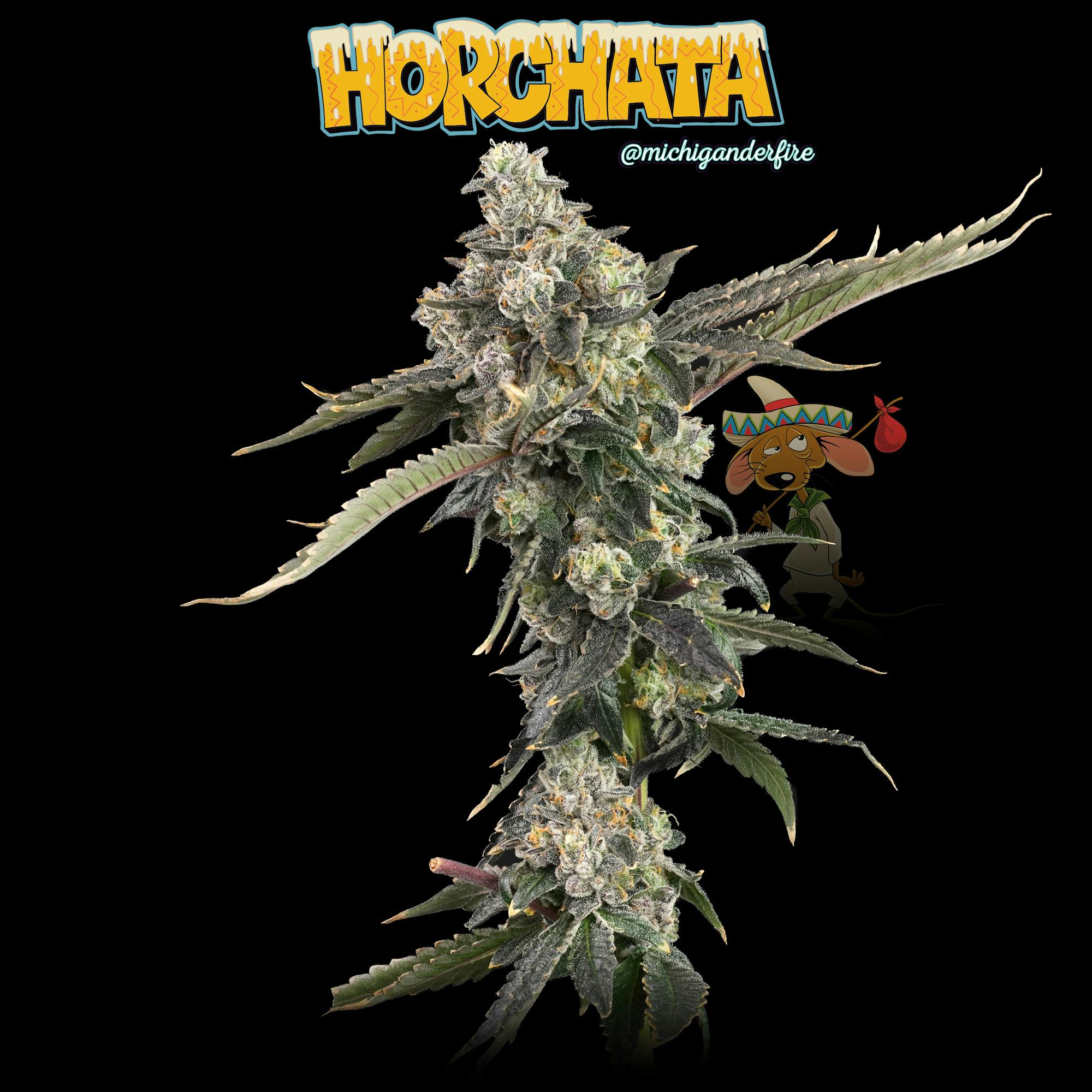 Michigander Fire - Horchata - image 2