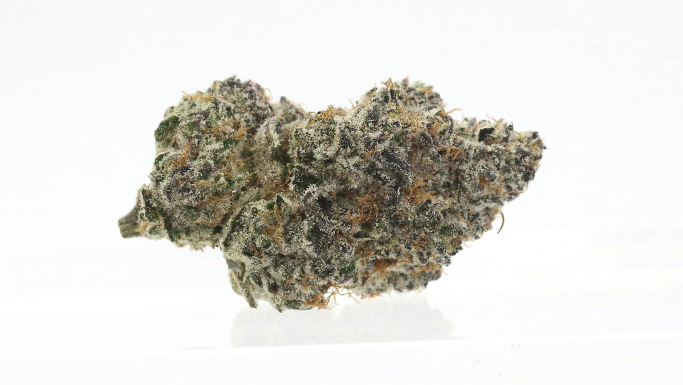 Xtreme Lemon Cherry Gelato - Indoor Flower - 3.5g (Jar) - image 2