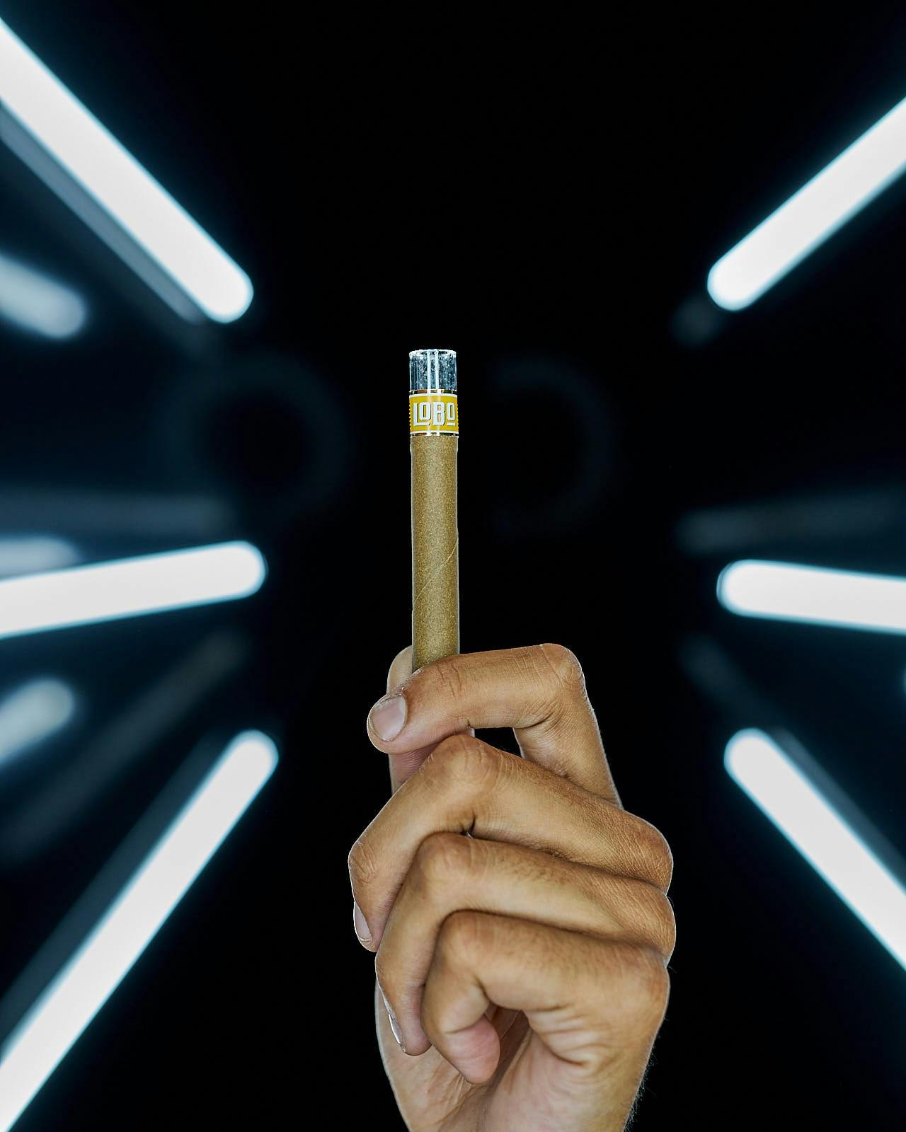 Presidente Cannagar - Dosido - 2g - image 3