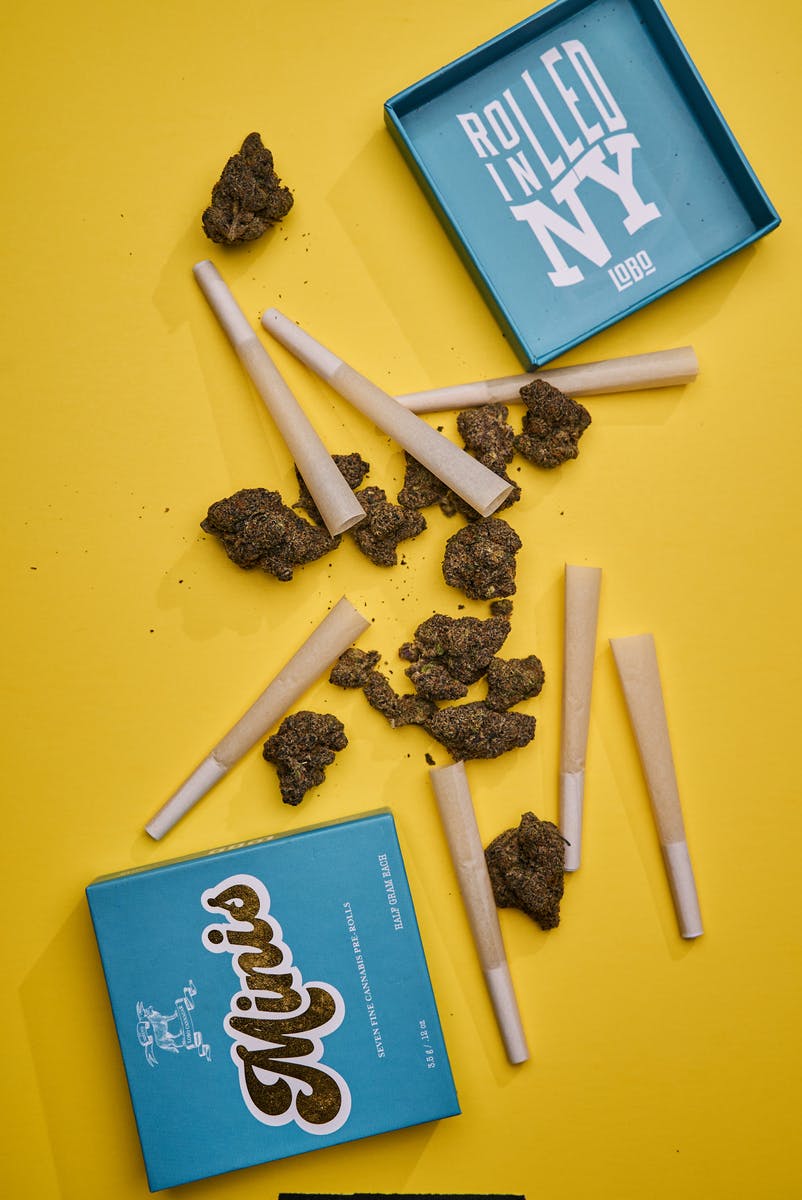 Minis 7-pack Half Gram Infused Joints - Sour Stomper - 3.5g - image 4