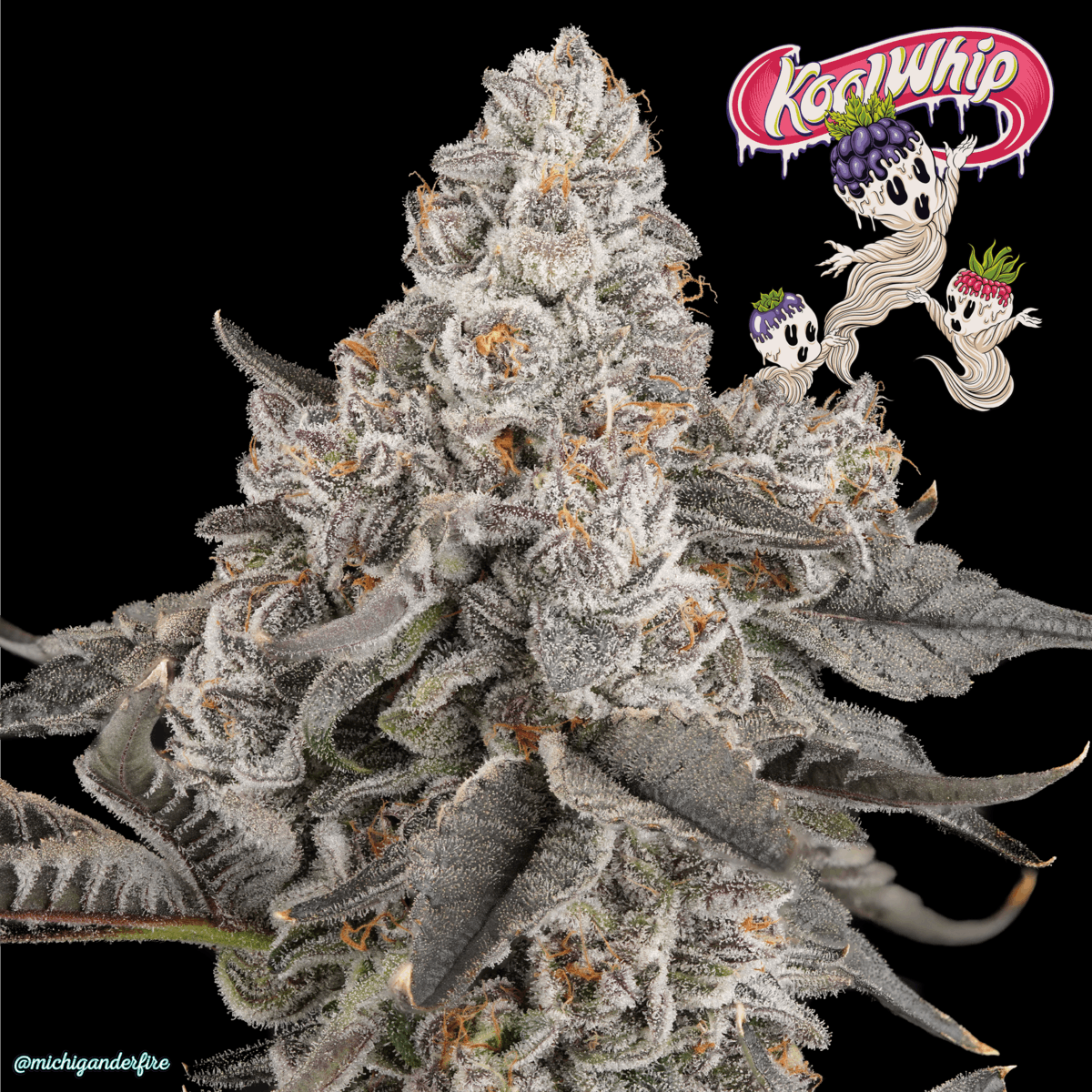 Michigander Fire - Kool Whip - image 3