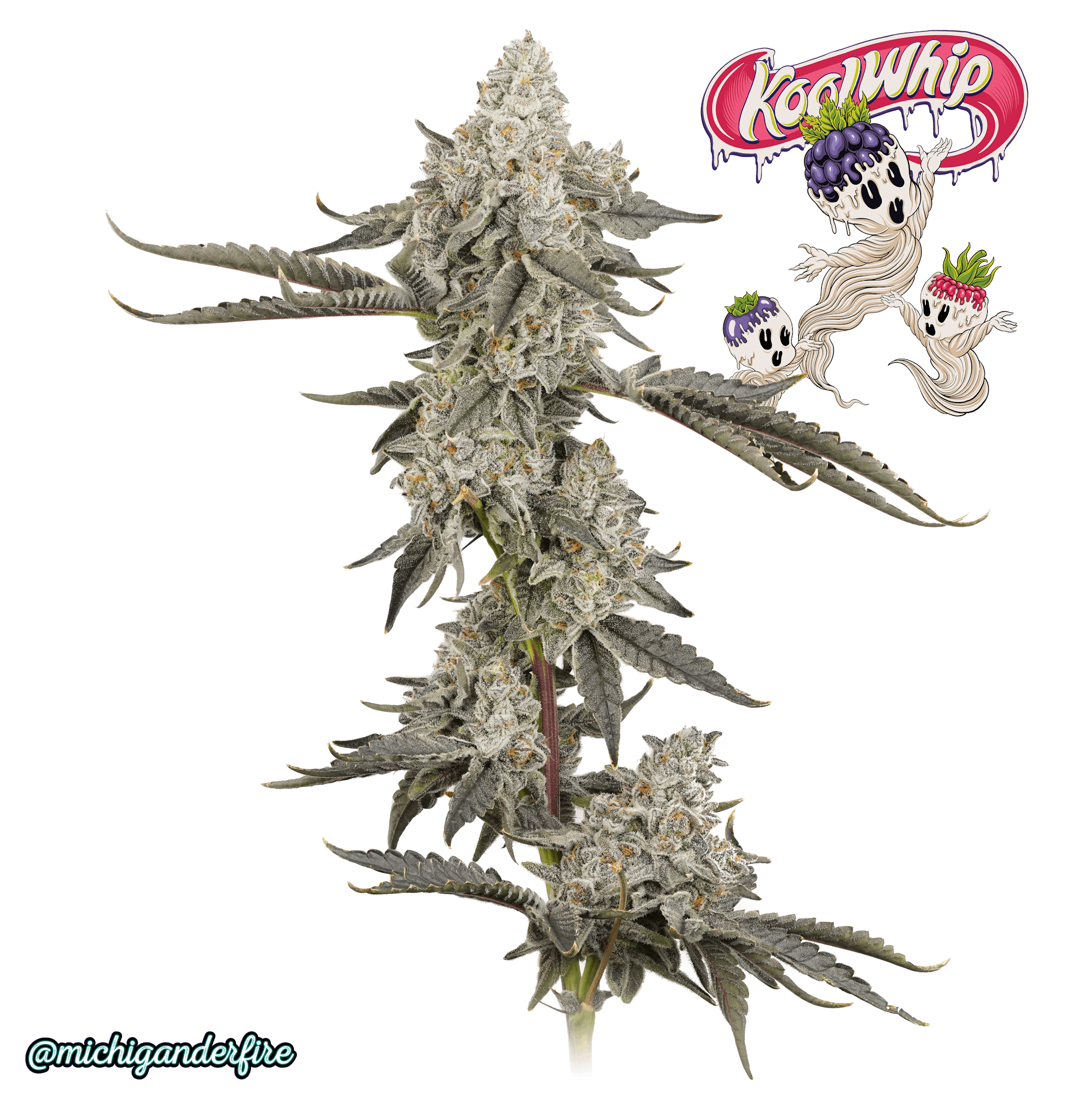 Michigander Fire - Kool Whip - image 2