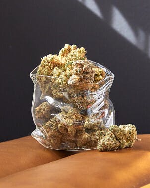 SFV OG | 14g Minis - image 1