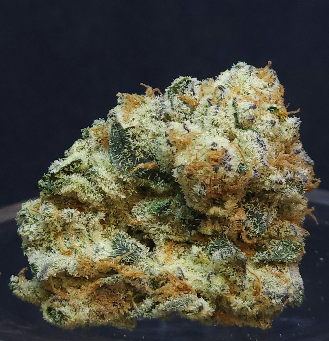 Quantum X 1g Flower - image 1