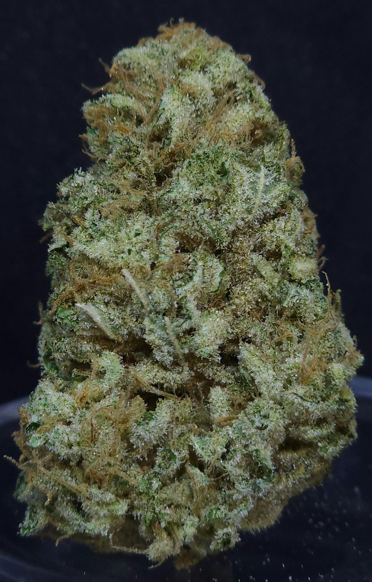 Afgoo 3.5g Flower - image 1