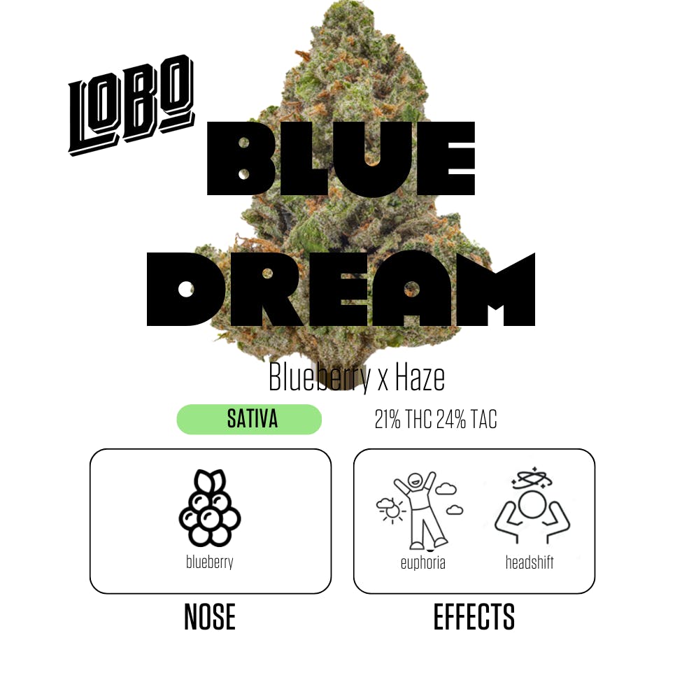 Pre-Rolled Fuerte - Blue Dream - 1g - image 3